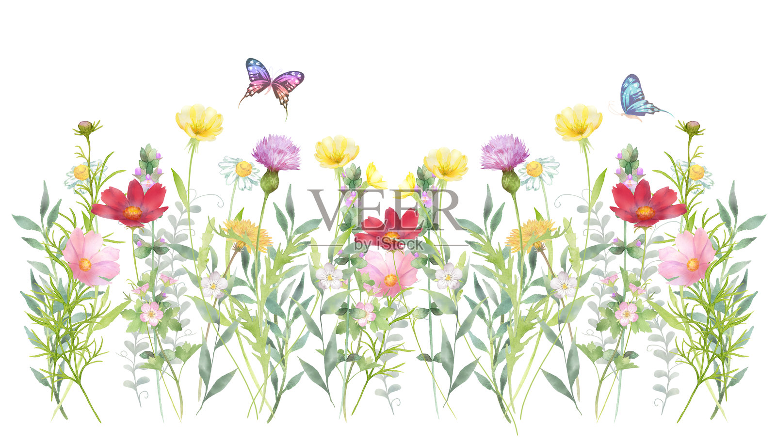 水彩画色彩斑斓的野花与蝴蝶插画图片素材
