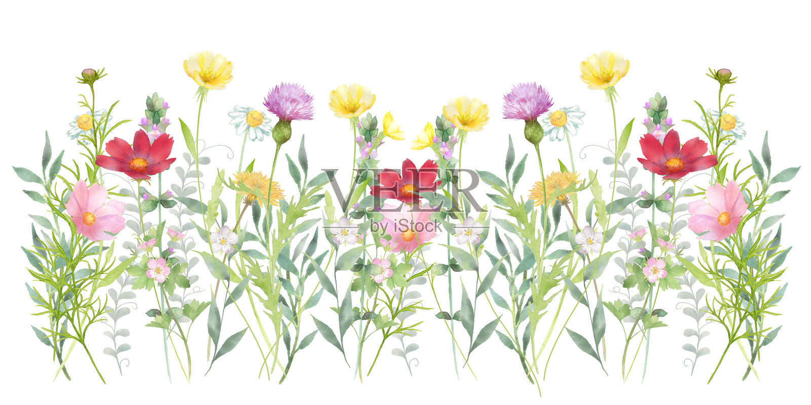 水彩色彩斑斓的野花插图插画图片素材