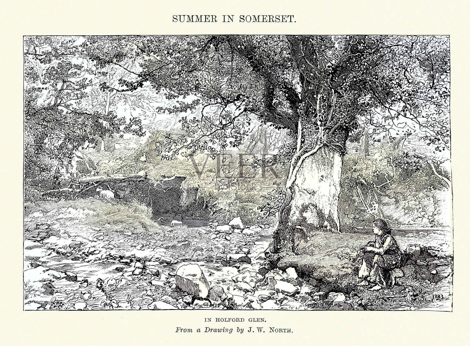 霍尔福德峡谷的维多利亚风景，昆特克斯，萨默塞特，英格兰，英式林地风景，复古插图，1880年代，19世纪插画图片素材