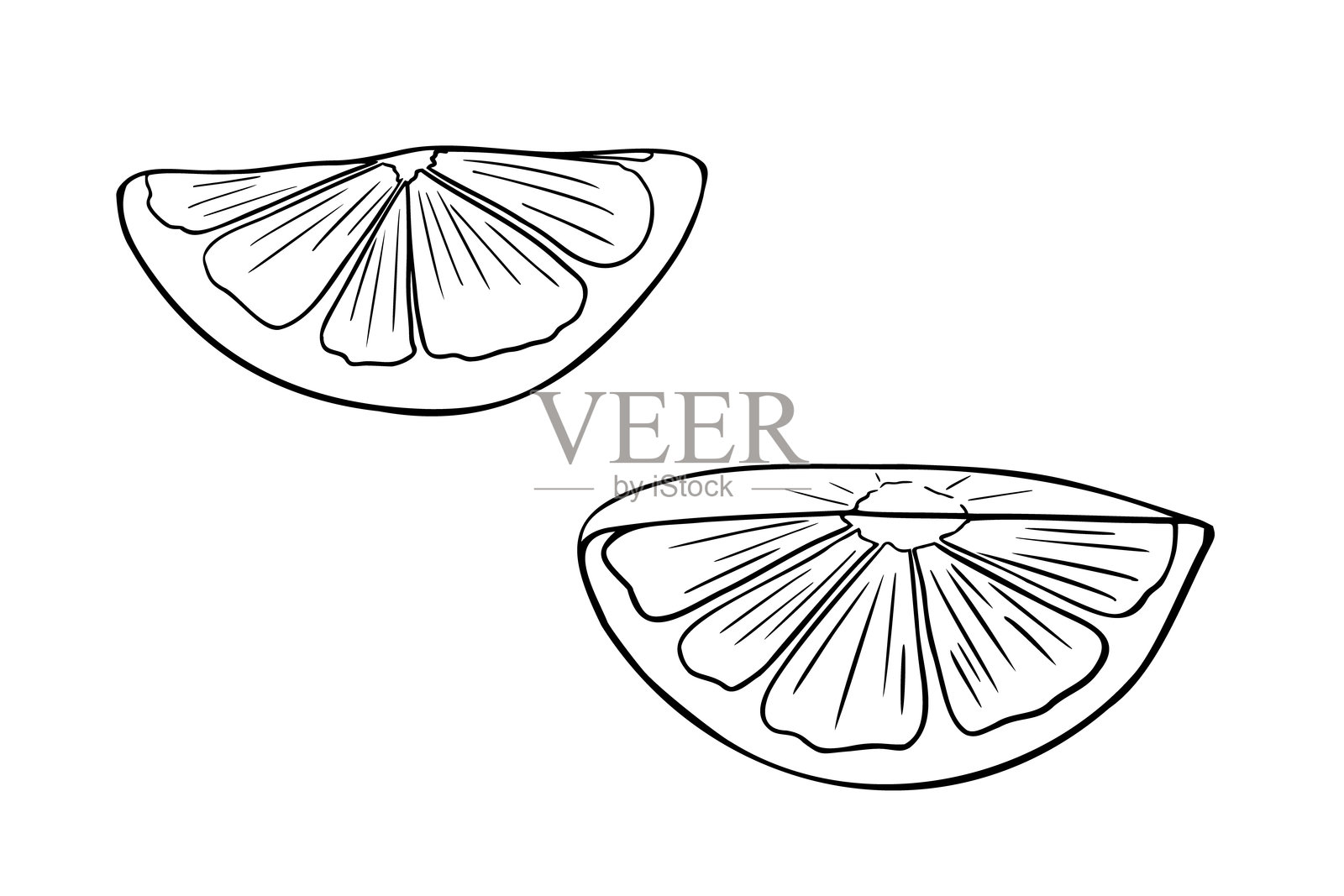 黑白柠檬半切矢量插图。单色风格的柑橘水果切片简笔画。柠檬楔形线条艺术绘制。橙色水果轮廓用于菜单、标志边框、标签。插画图片素材
