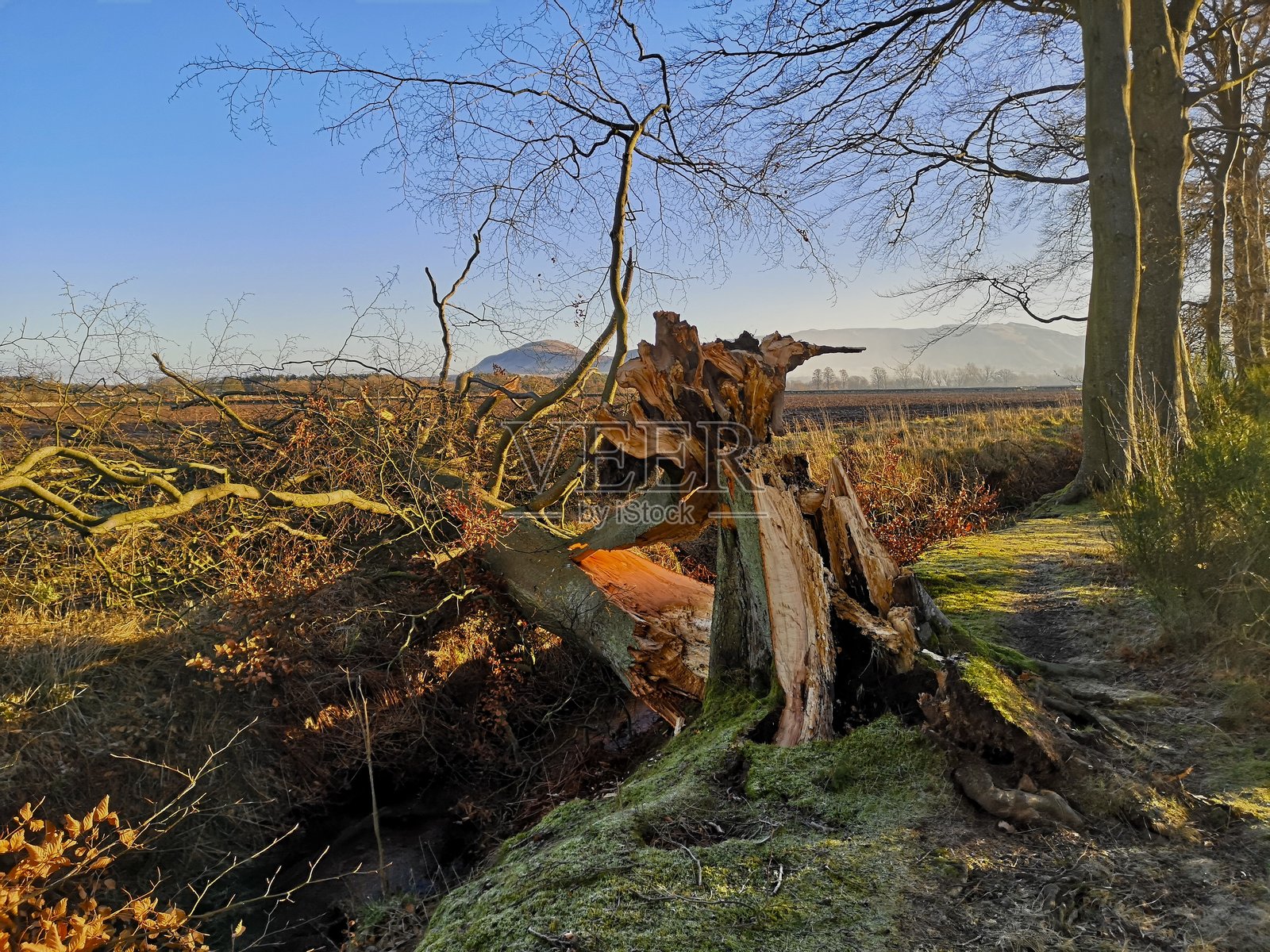 苏格兰的风景照片摄影图片