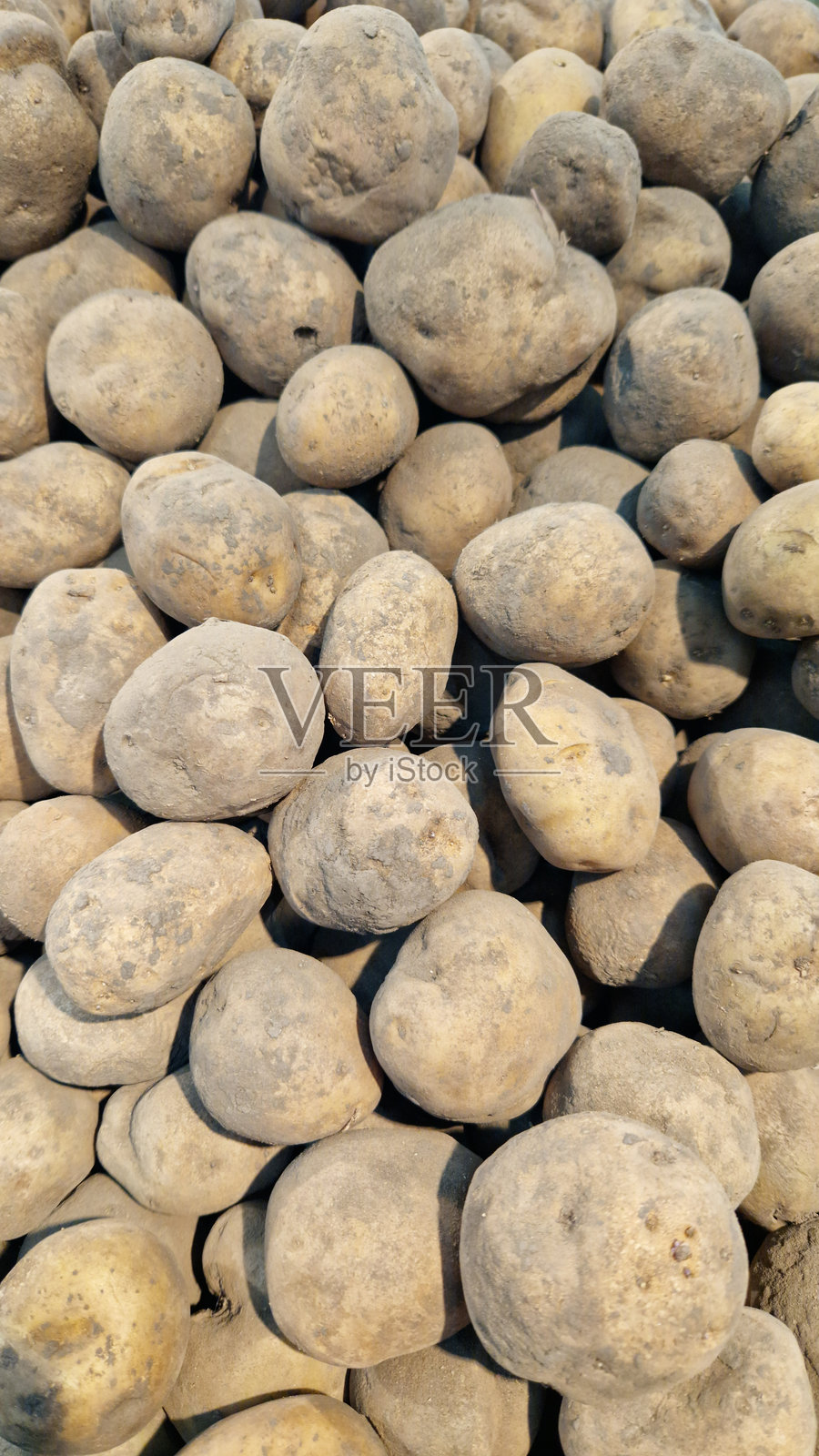 出售土豆。市场上土豆的特写镜头照片摄影图片