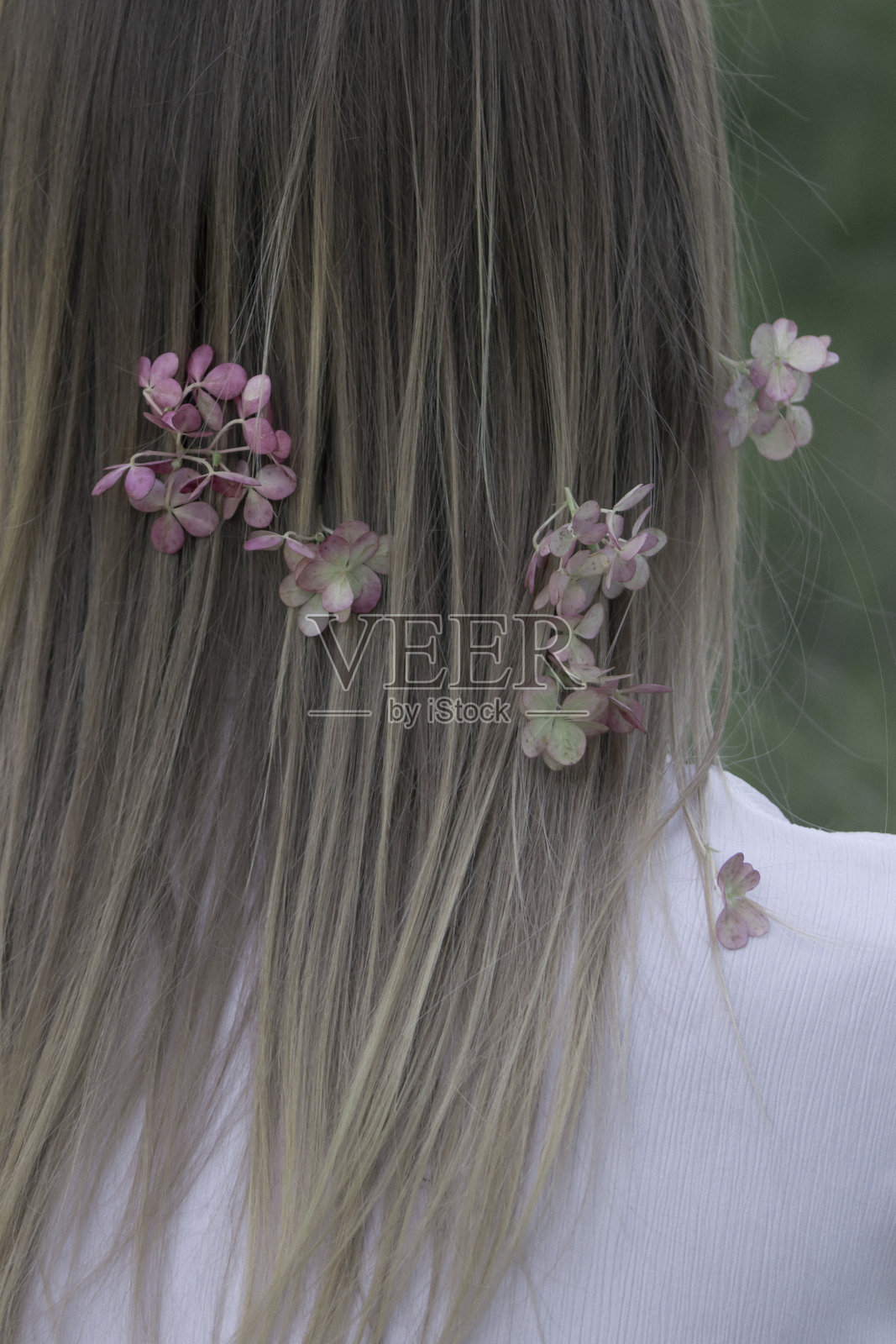 女孩的头发与绣球花特写照片摄影图片