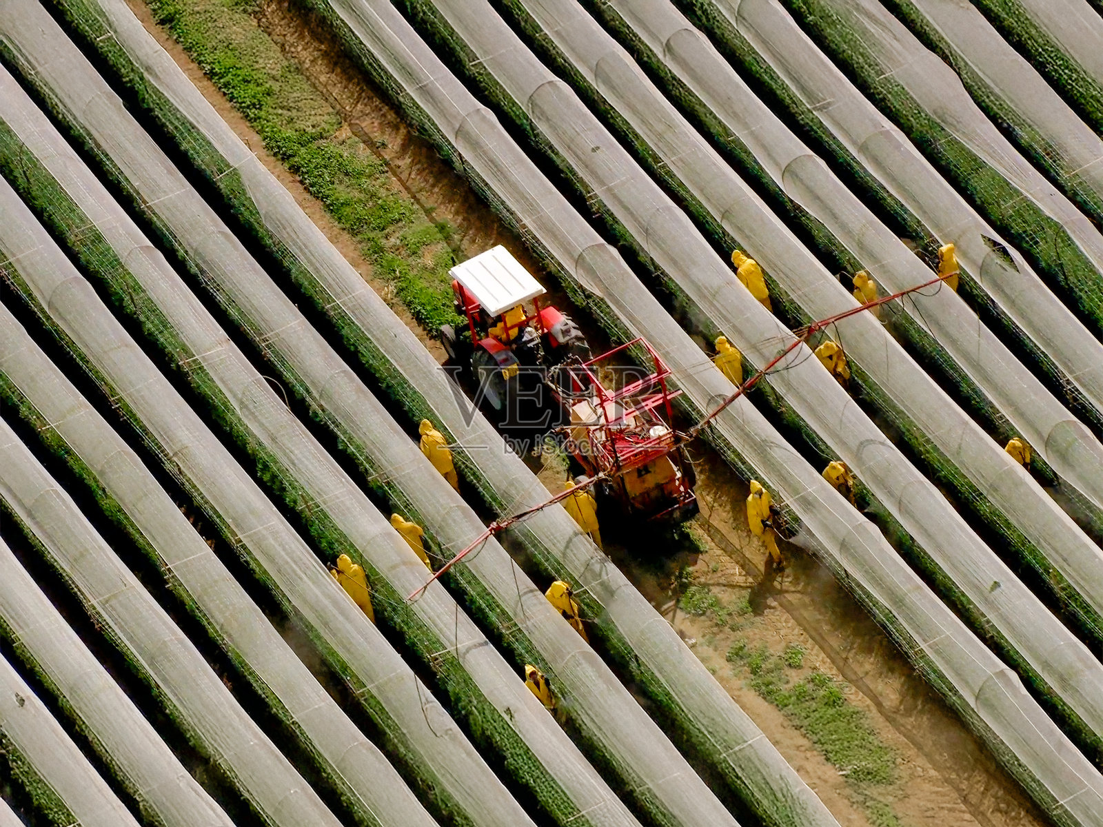 革命性的高科技温室：可持续农业的空中视角照片摄影图片