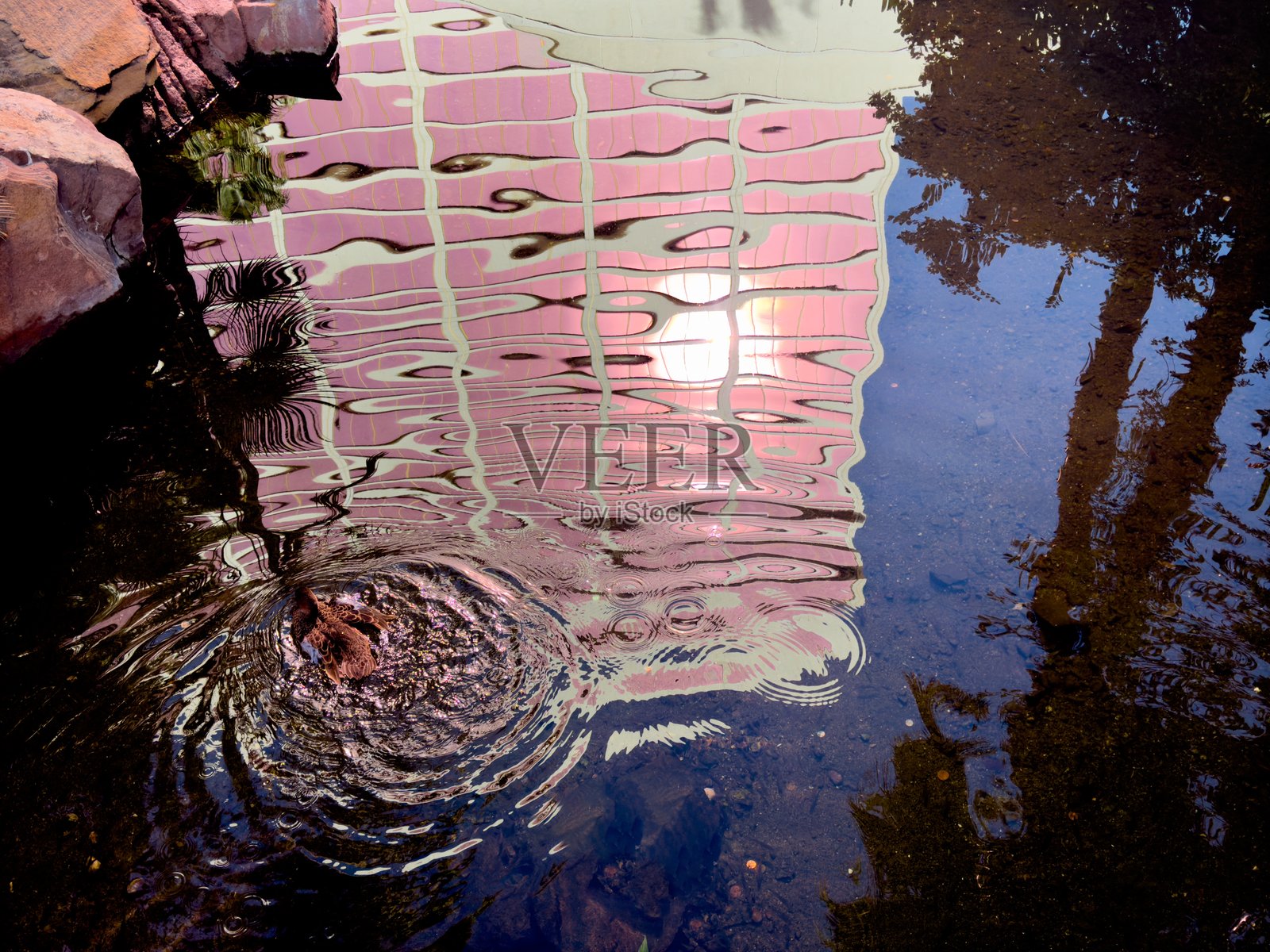 拉斯维加斯城市景观在水中的倒影照片摄影图片