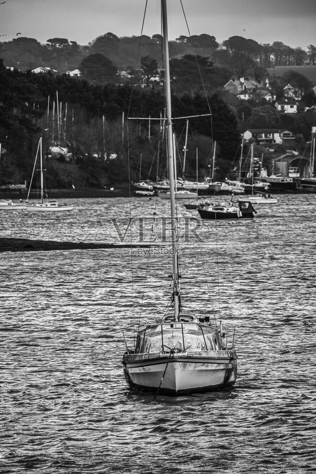 海军黑照片摄影图片