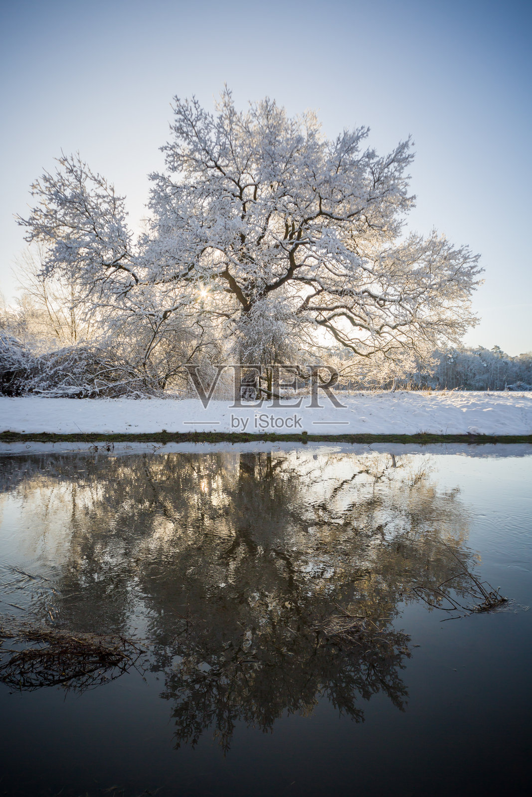 冬季照片摄影图片