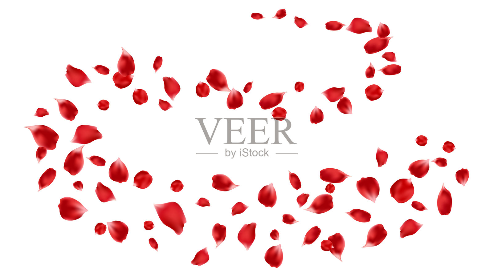 美丽的玫瑰花瓣飞舞，装饰清新生态插图。香气，水疗。插画图片素材