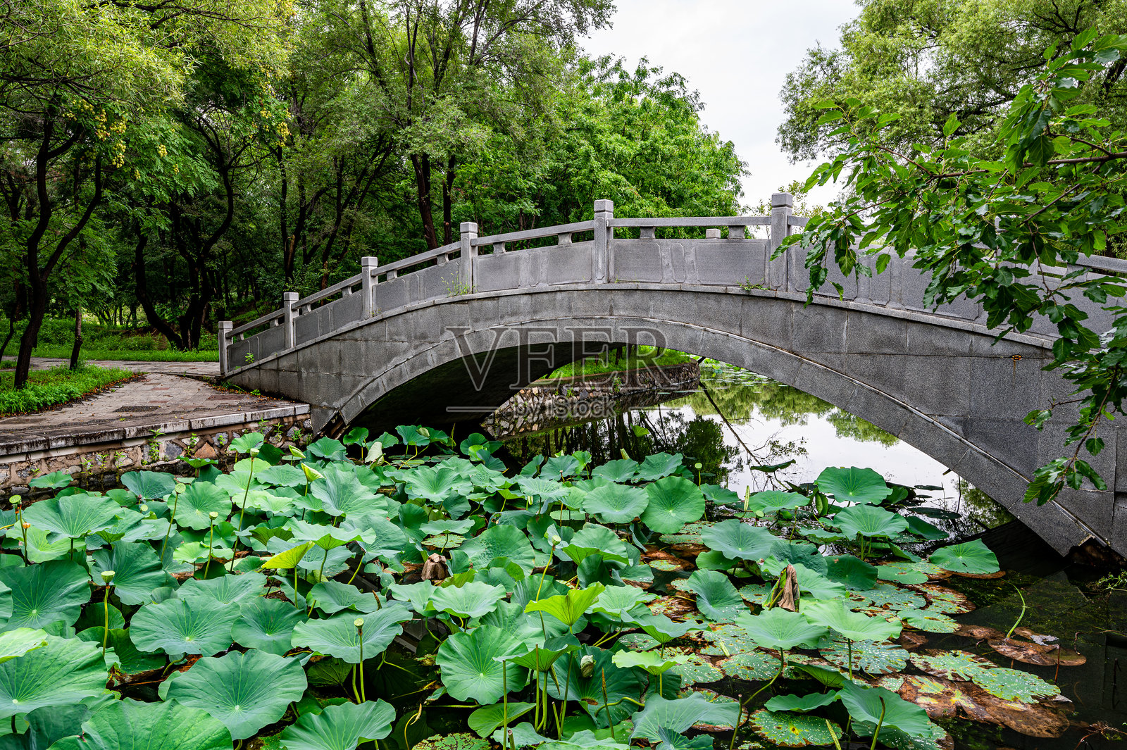 中国沈阳北陵公园的风景照片摄影图片