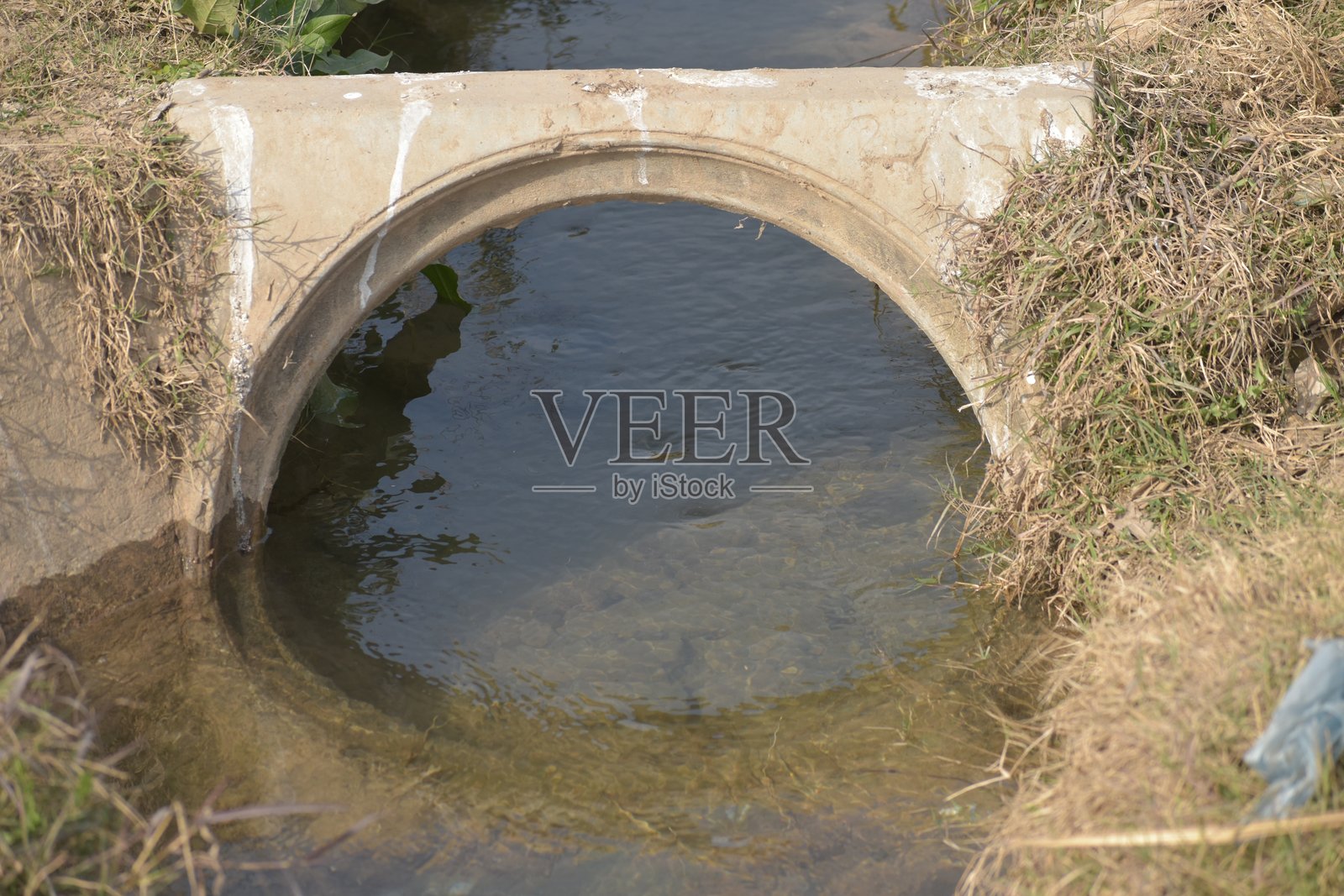 旅行照片摄影图片