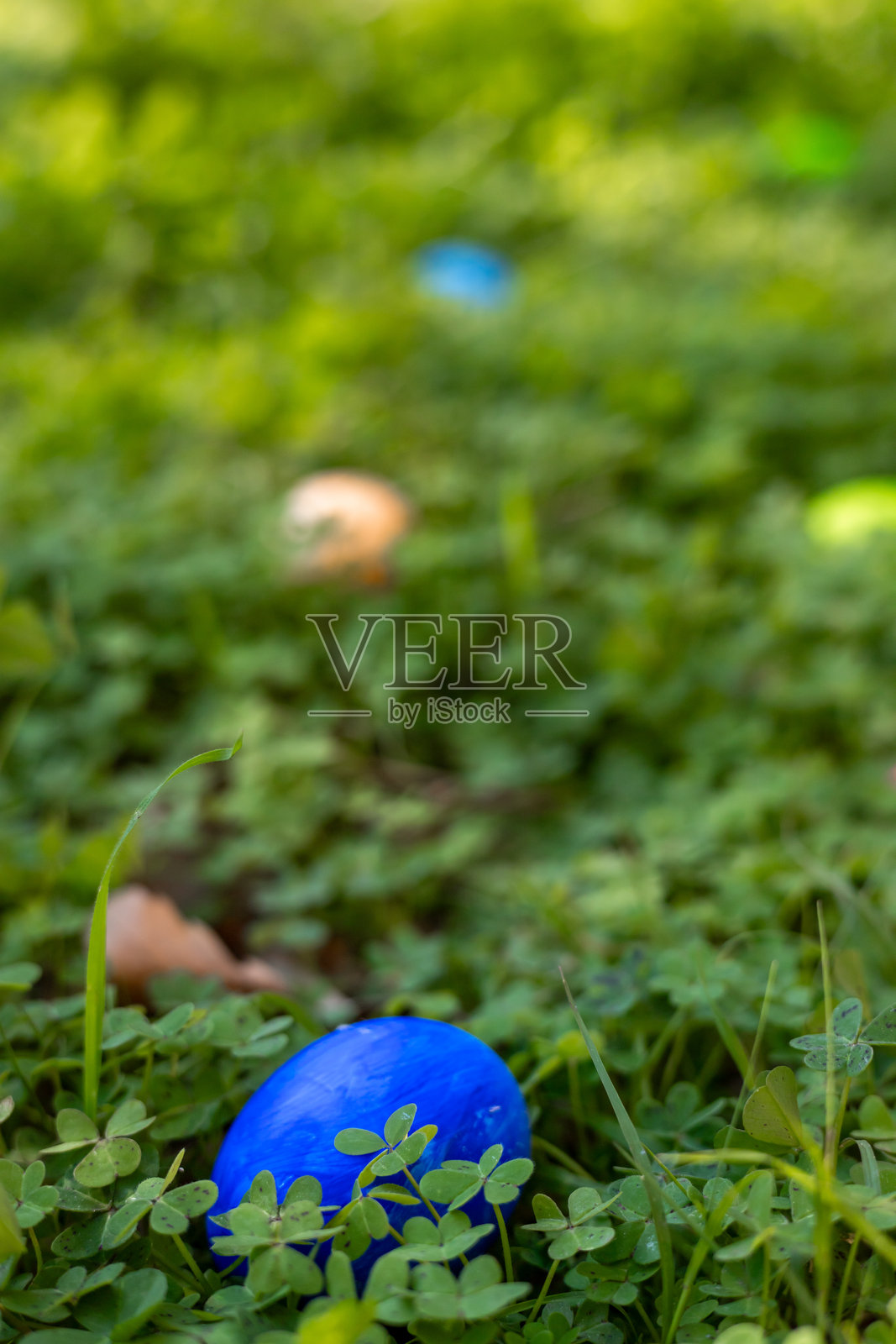 五彩缤纷的复活节彩蛋藏在阳光明媚的春日下午郁郁葱葱的草地中照片摄影图片