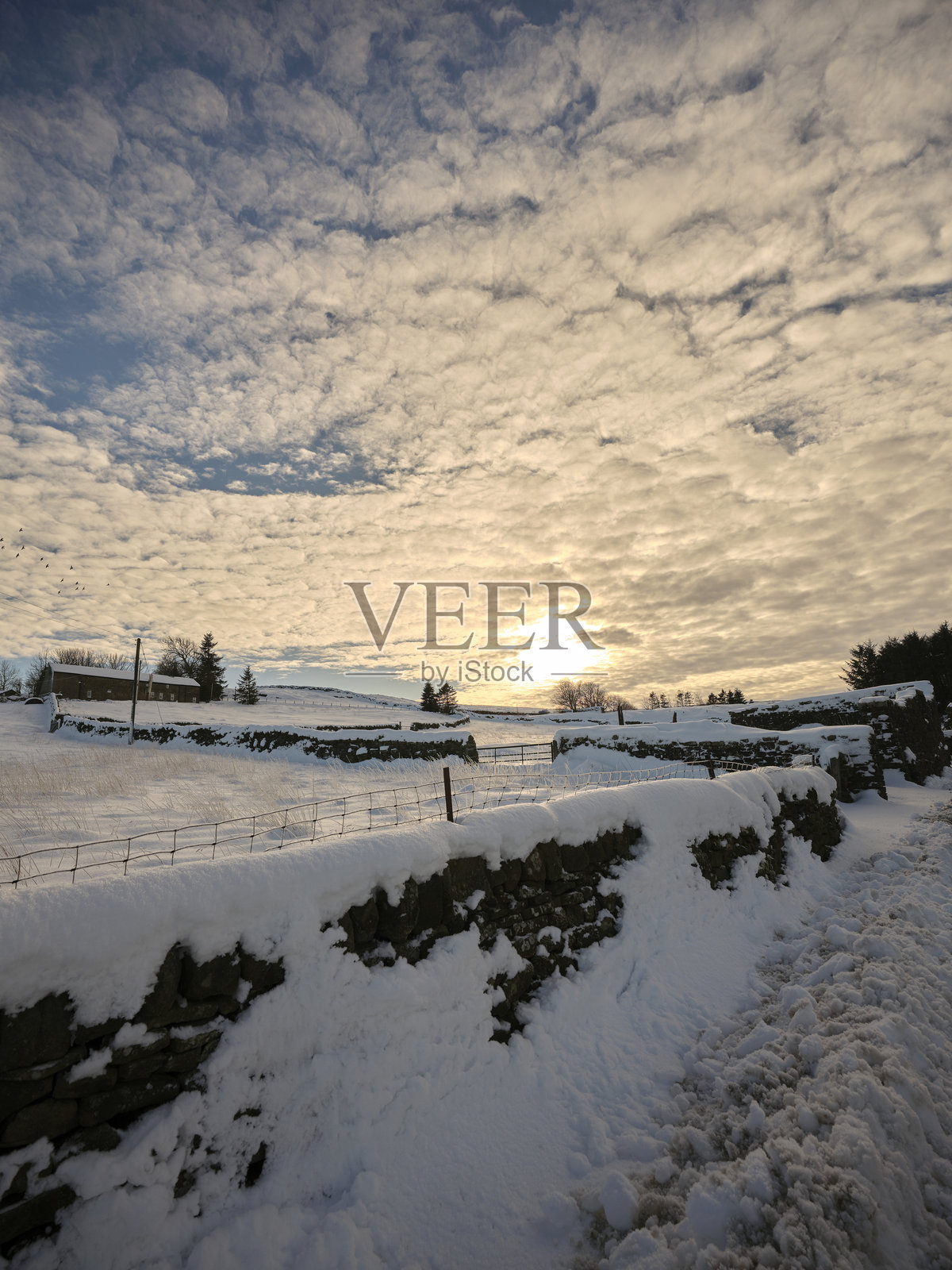沉没的冬日阳光照片摄影图片