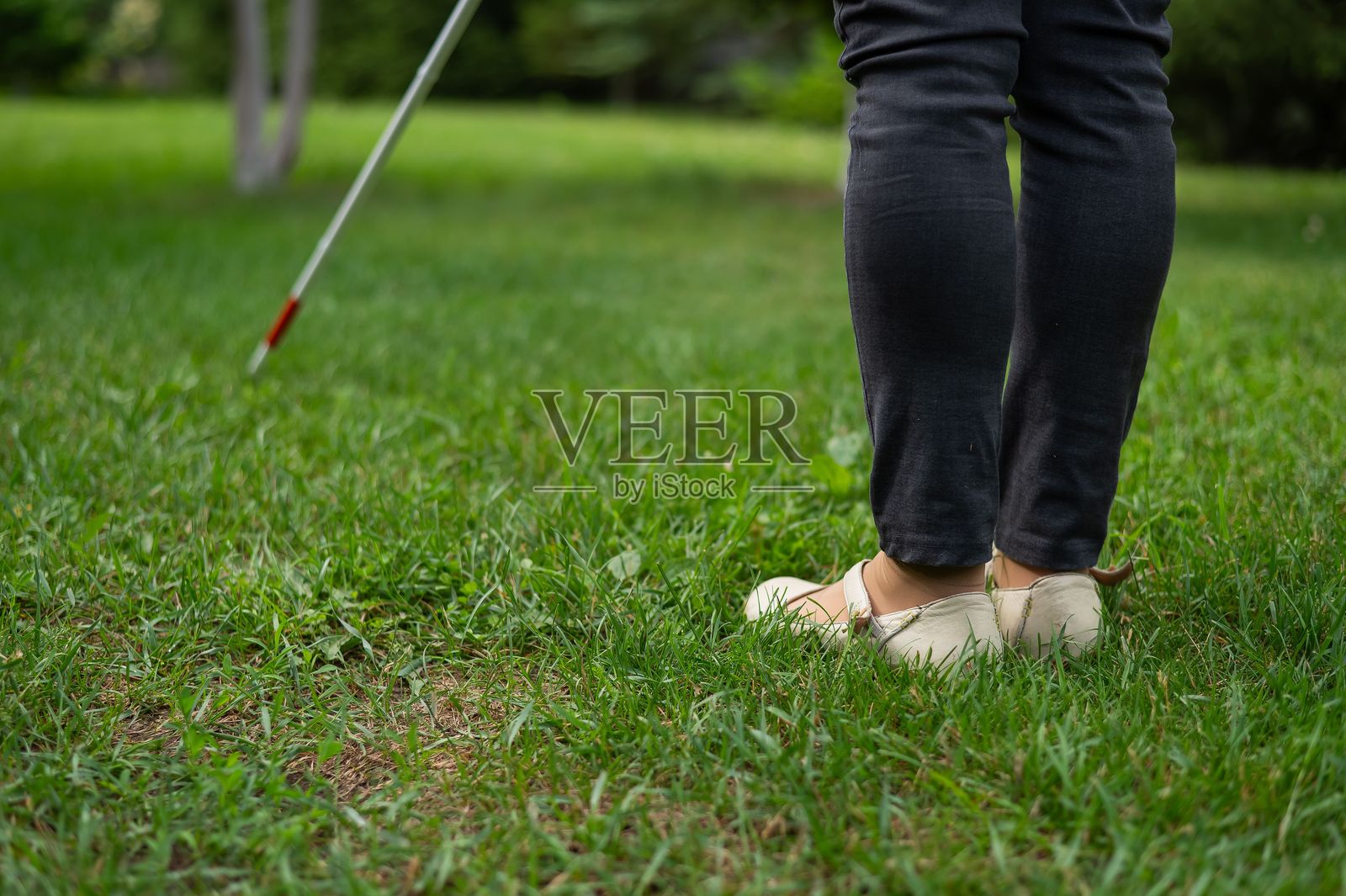 一位老年女性在公园散步时，使用触觉手杖的腿部特写。照片摄影图片