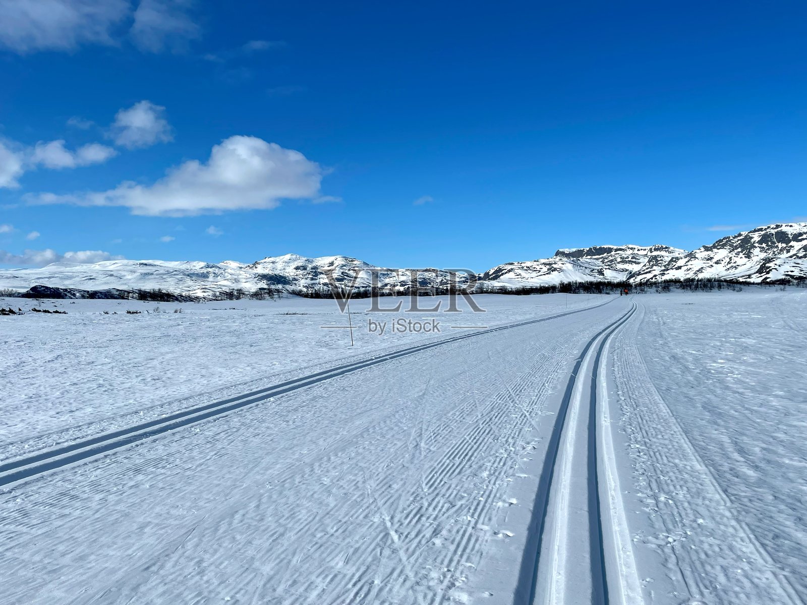 新修整的滑雪轨迹延伸在被雪覆盖的高原上，四周环绕着高耸的、覆盖着霜的松树，映衬着挪威Sjusjøen地区明亮的蓝天。照片摄影图片