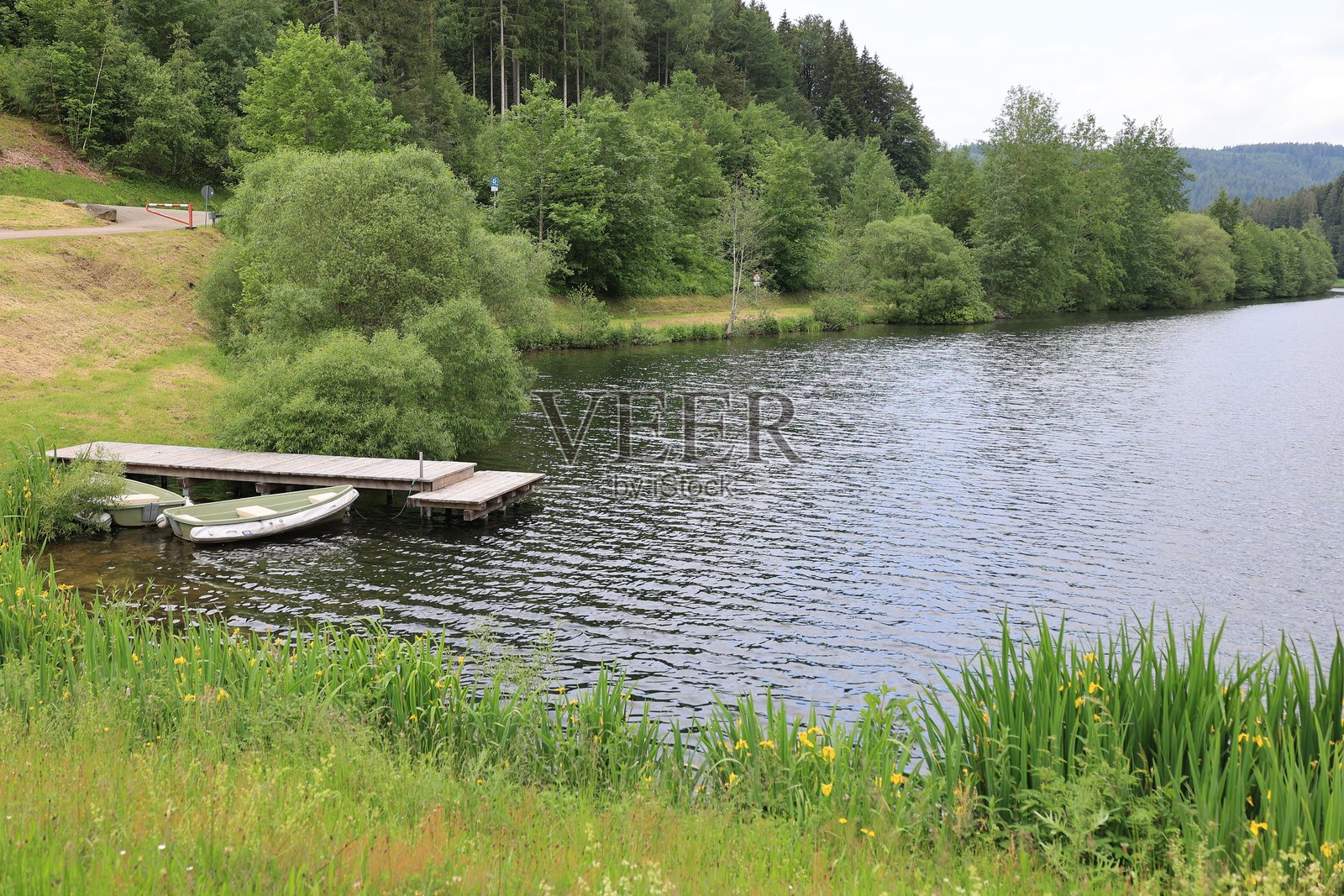 黑森林纳戈尔德大坝的美丽夏日照片摄影图片