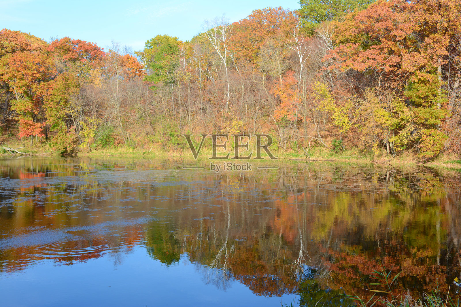 秋天的树叶倒影 - 玛丽亚湖州立公园照片摄影图片