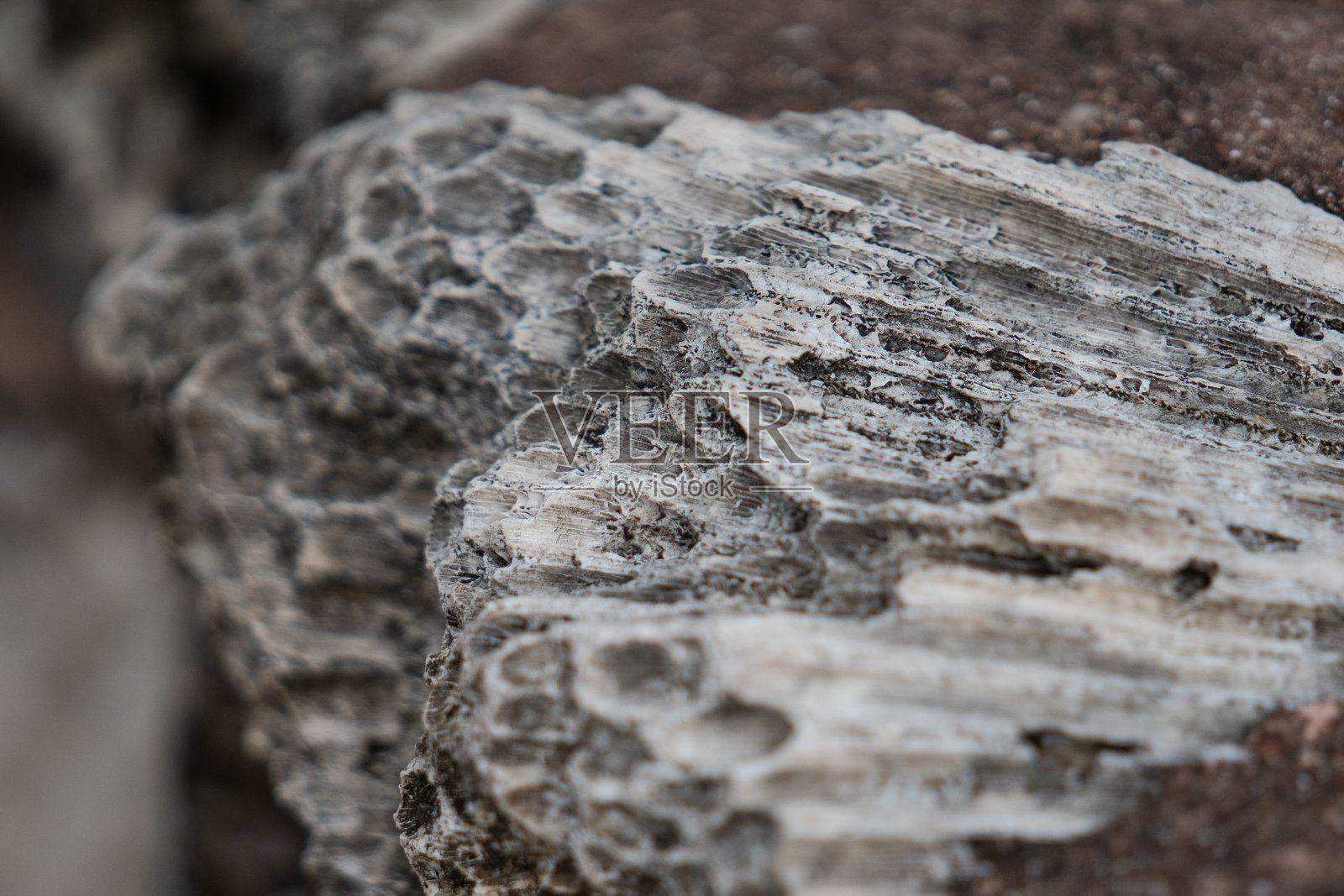 石头的表面有孔洞照片摄影图片