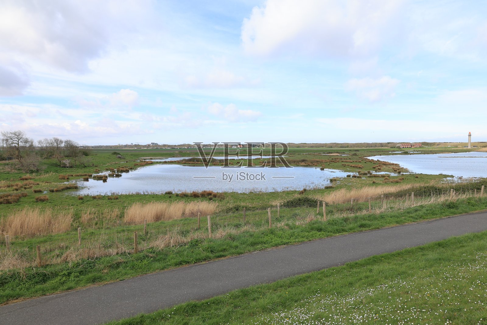 泽兰北海海岸的春天照片摄影图片