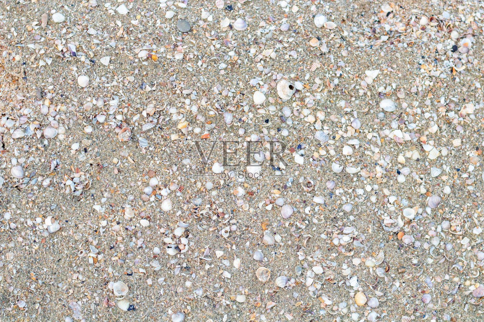 沙子和贝壳的设计背景照片摄影图片