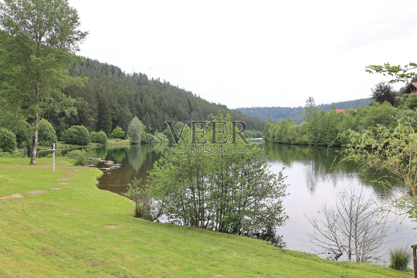 黑森林纳戈尔德大坝的美丽夏日照片摄影图片