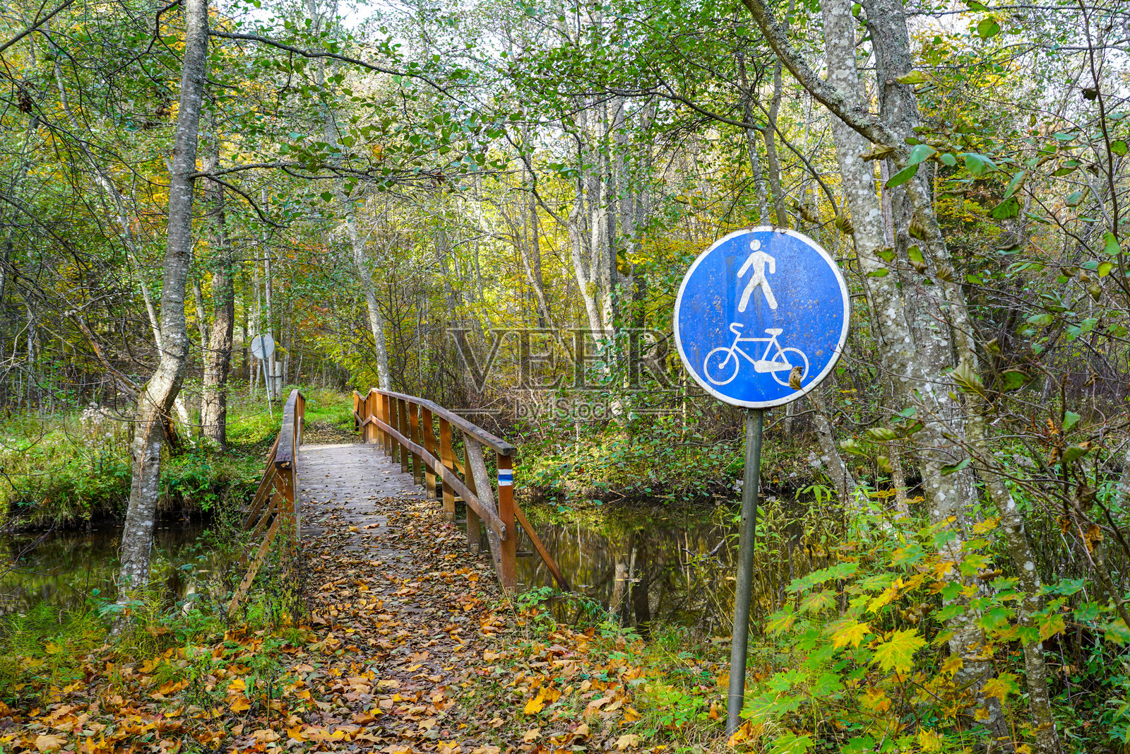 秋季森林中的风景，河上有一座供行人和骑自行车者通行的木桥照片摄影图片
