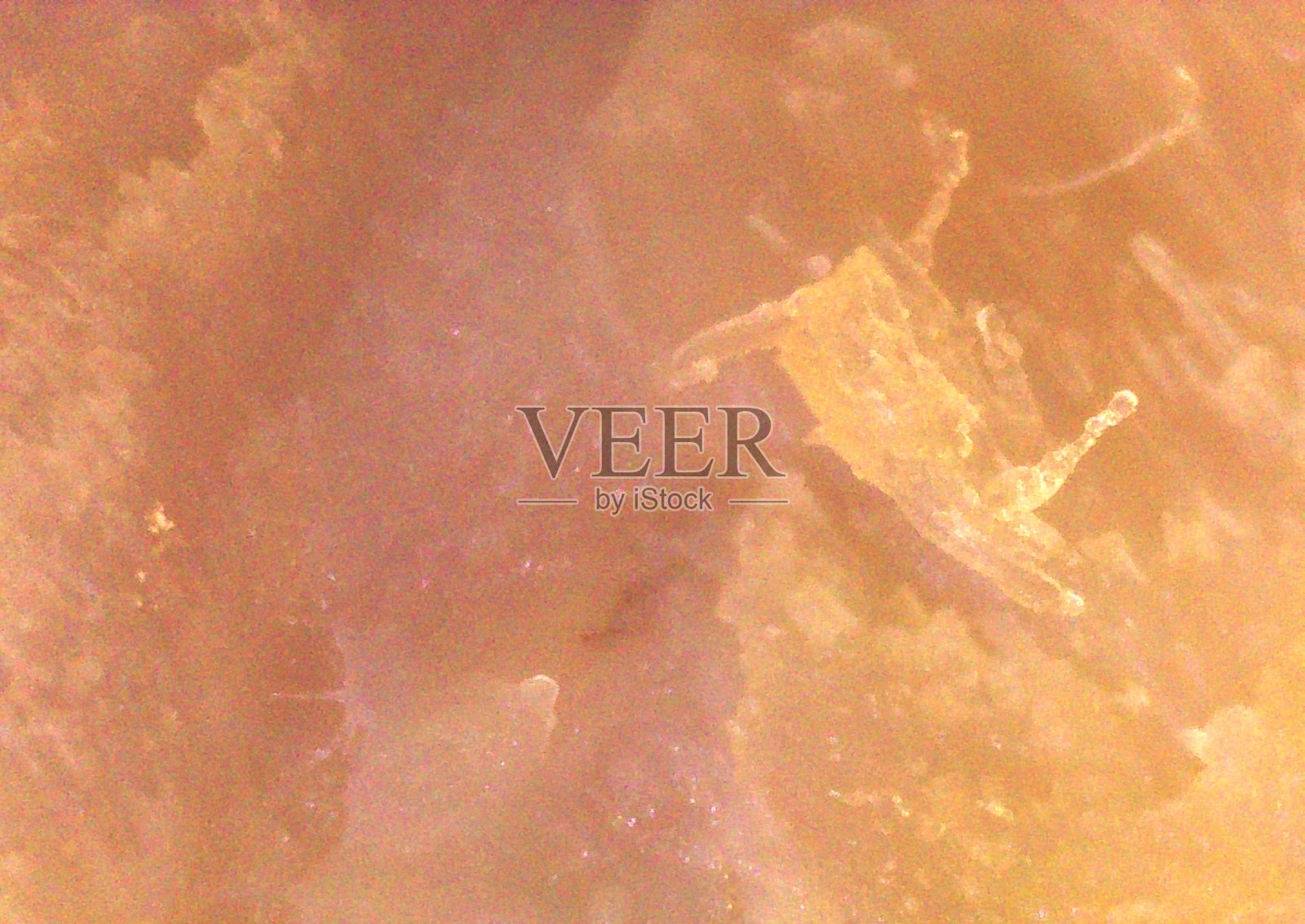 烤肉，食物细节。显微镜下的图像，微观摄影。科学、研究与教育。多重放大，特写。科学摄影照片摄影图片