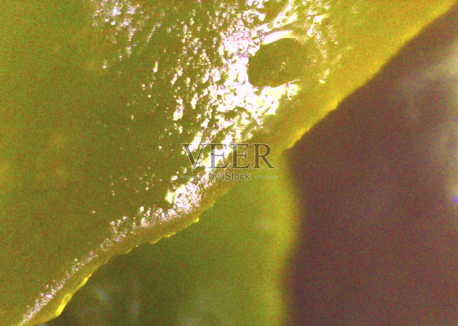 海藻，海带的细节。素食食品。显微镜下的图像，微观摄影。科学、研究与教育。多重放大，特写。科学摄影。照片摄影图片