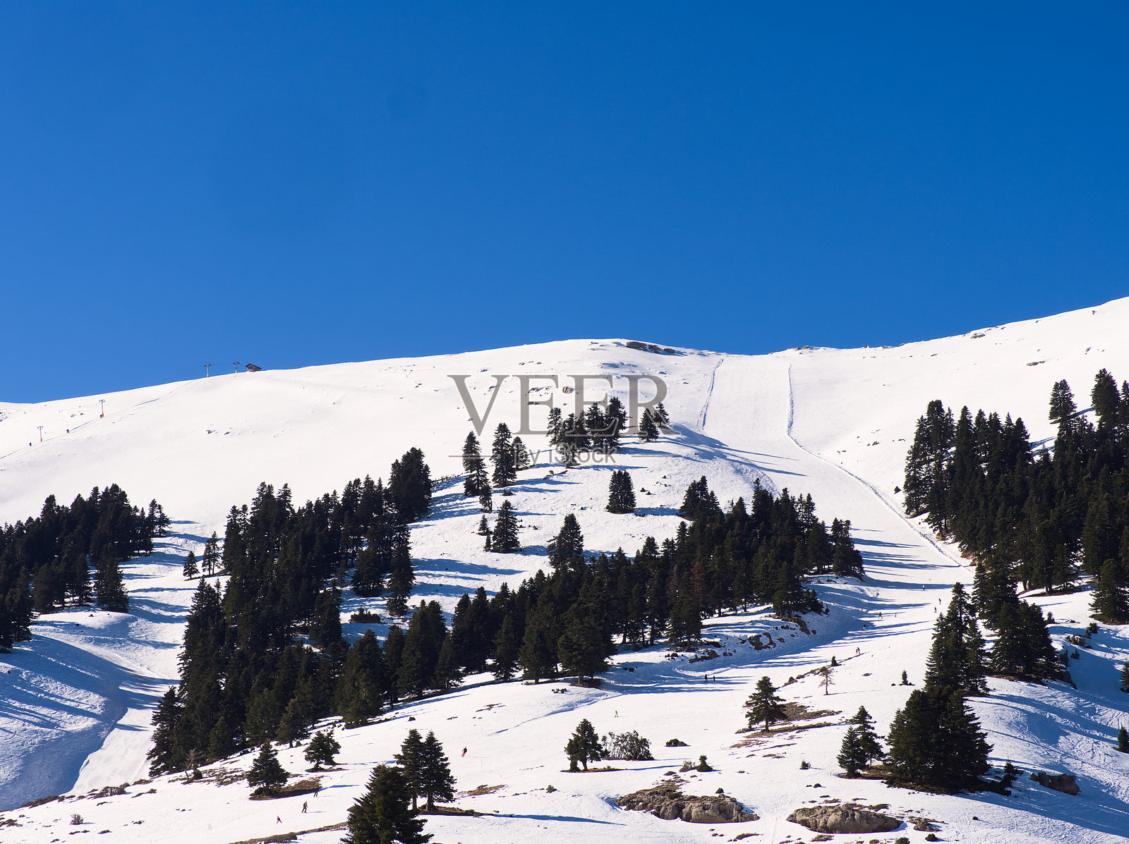 被雪覆盖的滑雪坡道与常青树照片摄影图片