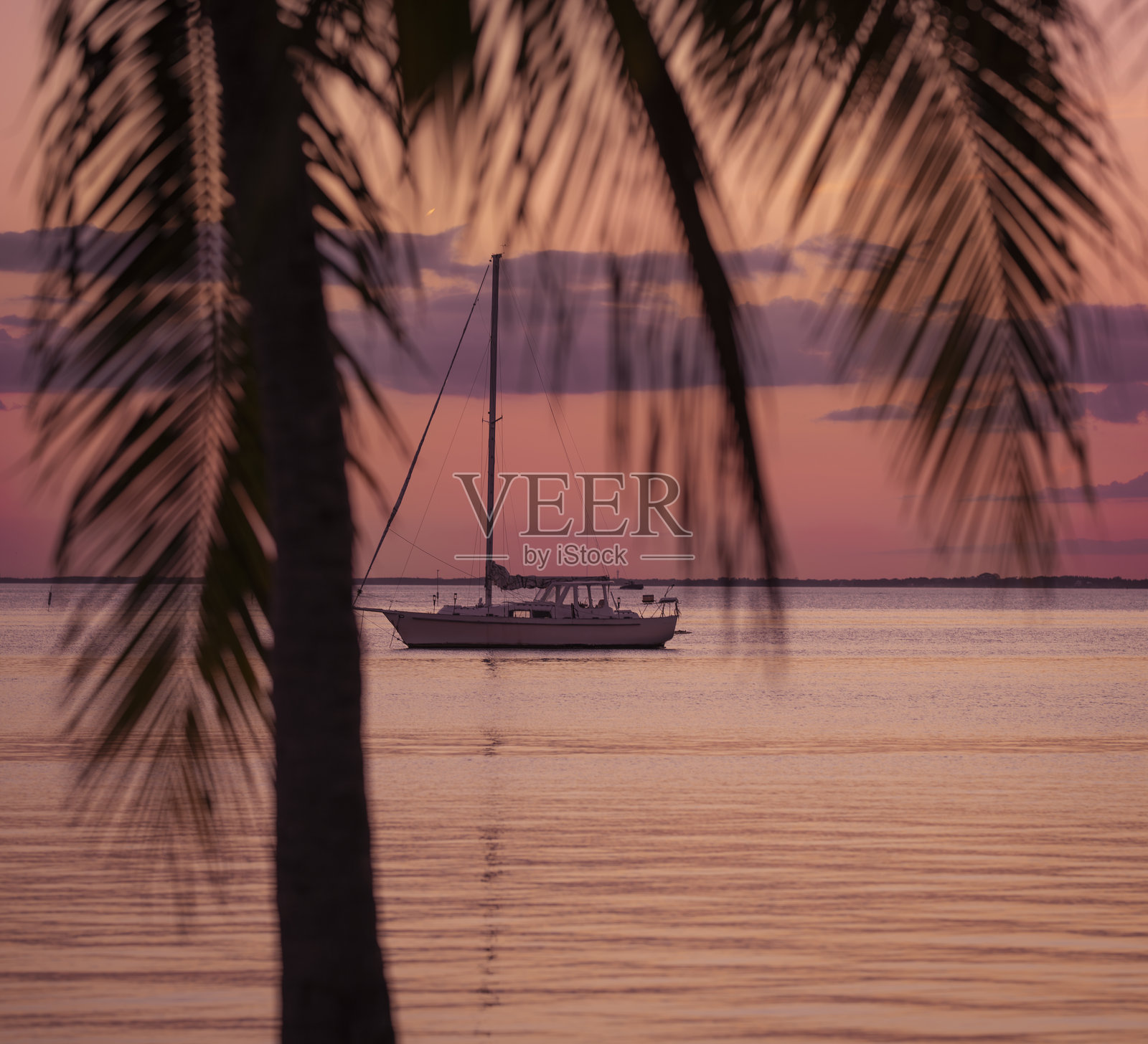 热带棕榈树下的日落小船照片摄影图片