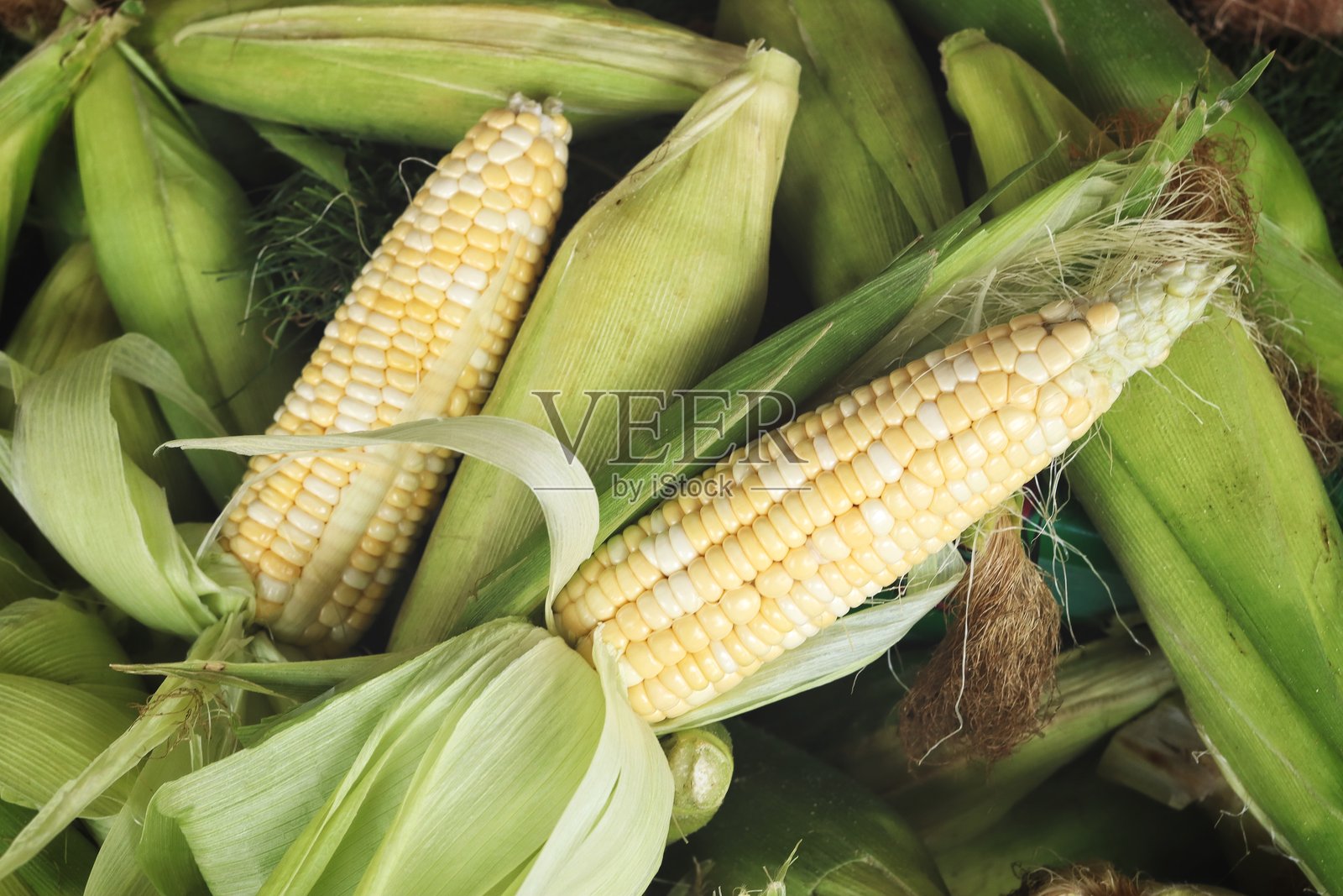 新鲜甜玉米的特写照片摄影图片