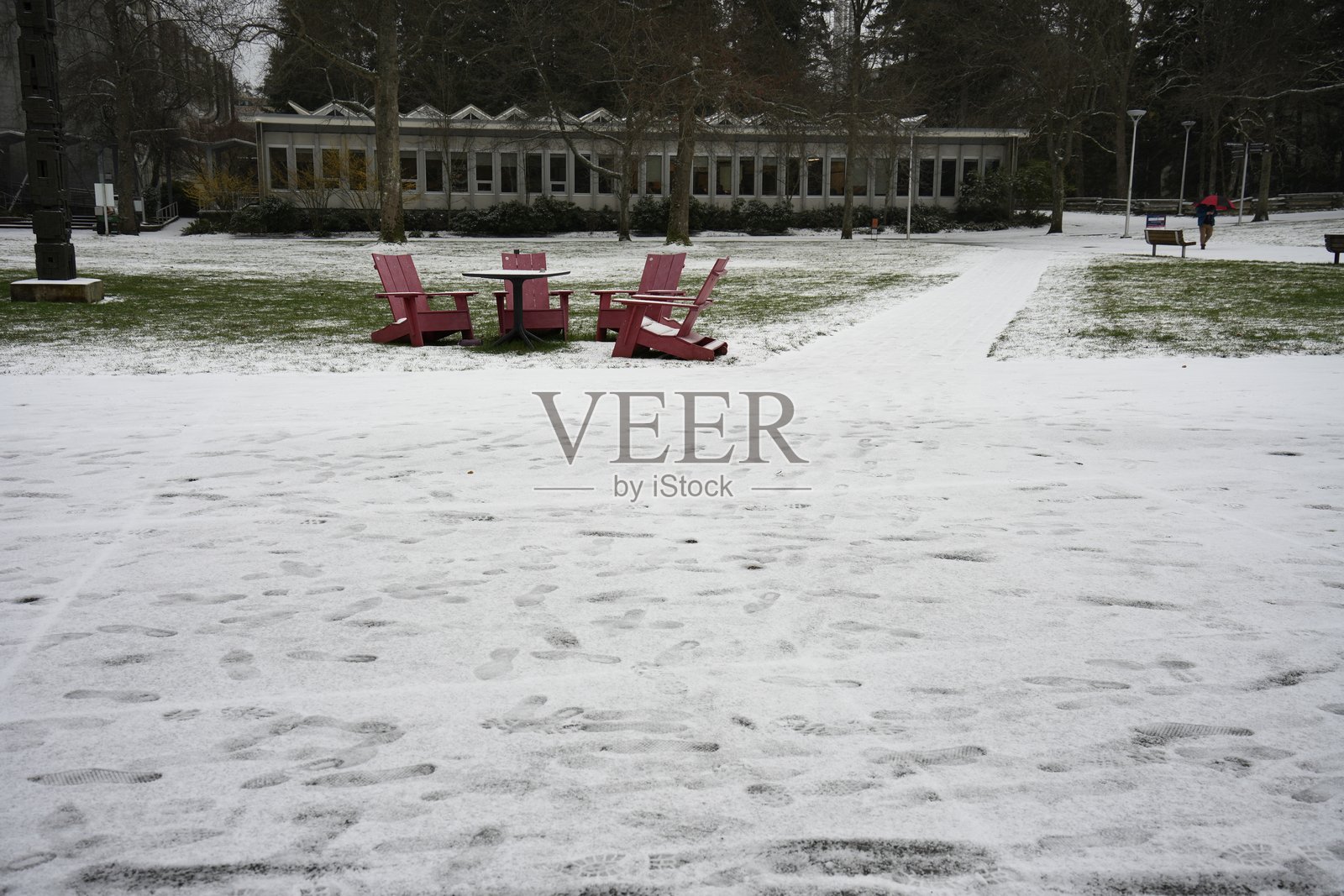 雪照片摄影图片