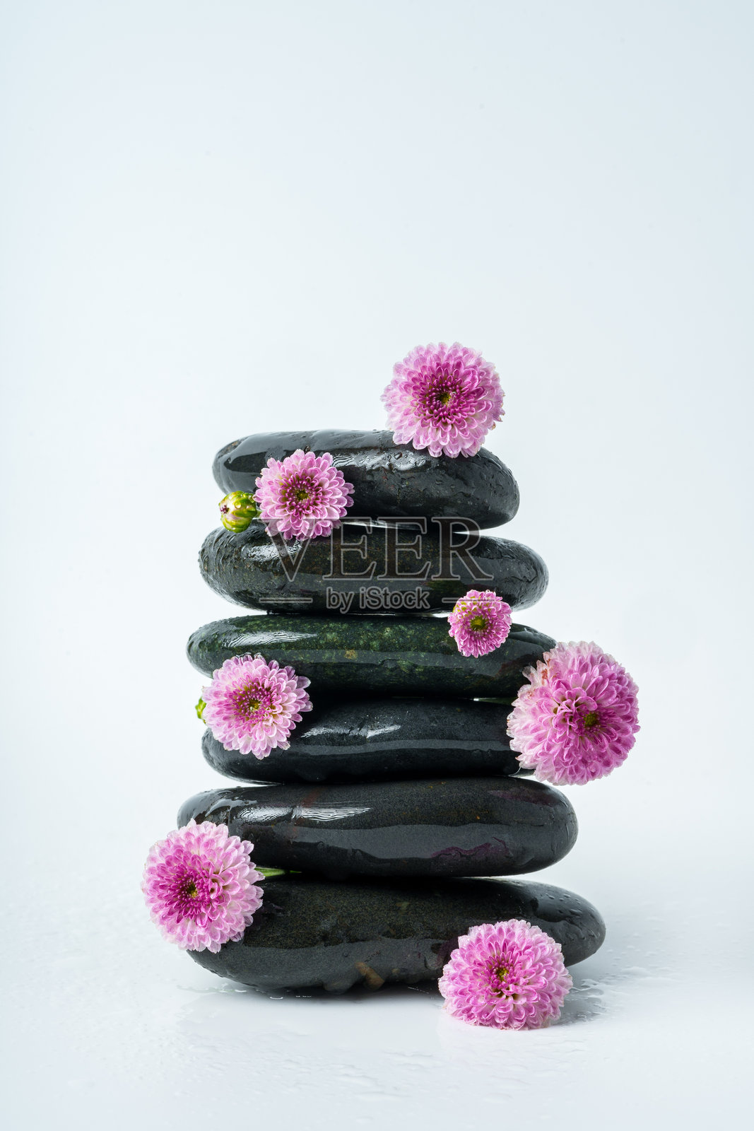 水疗石和花在白色的背景照片摄影图片