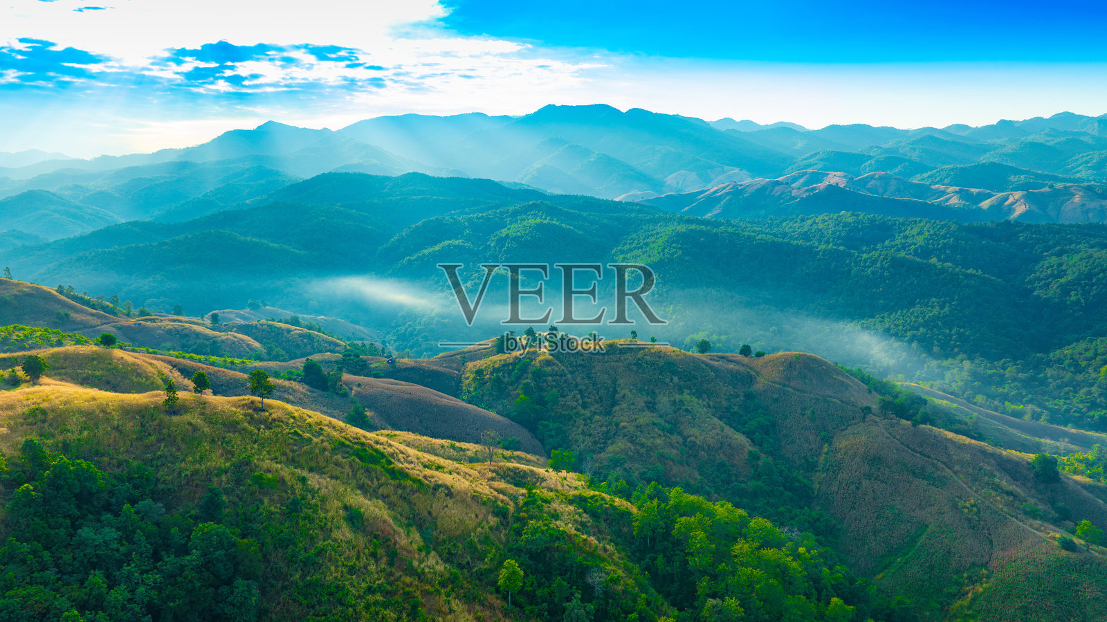 群山和混交林的鸟瞰图。绿色的落叶乔木与薄云。雨林丰富的自然生态系统概念是关于保护和自然再造林照片摄影图片