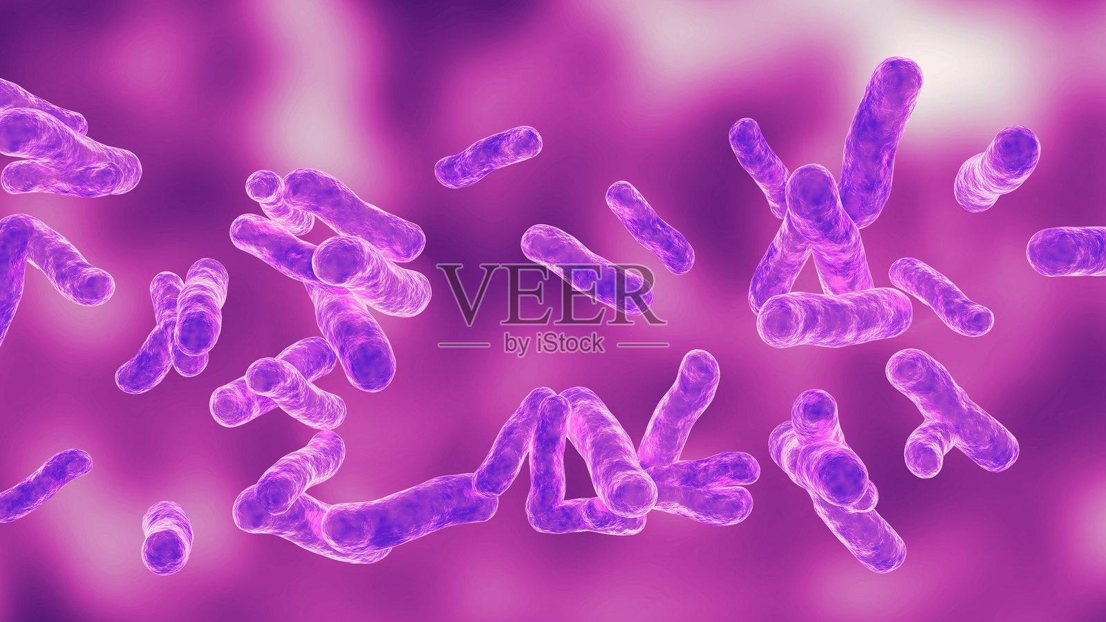 硫杆菌是一种参与将硫化物和或单质硫氧化为硫酸盐的细菌照片摄影图片
