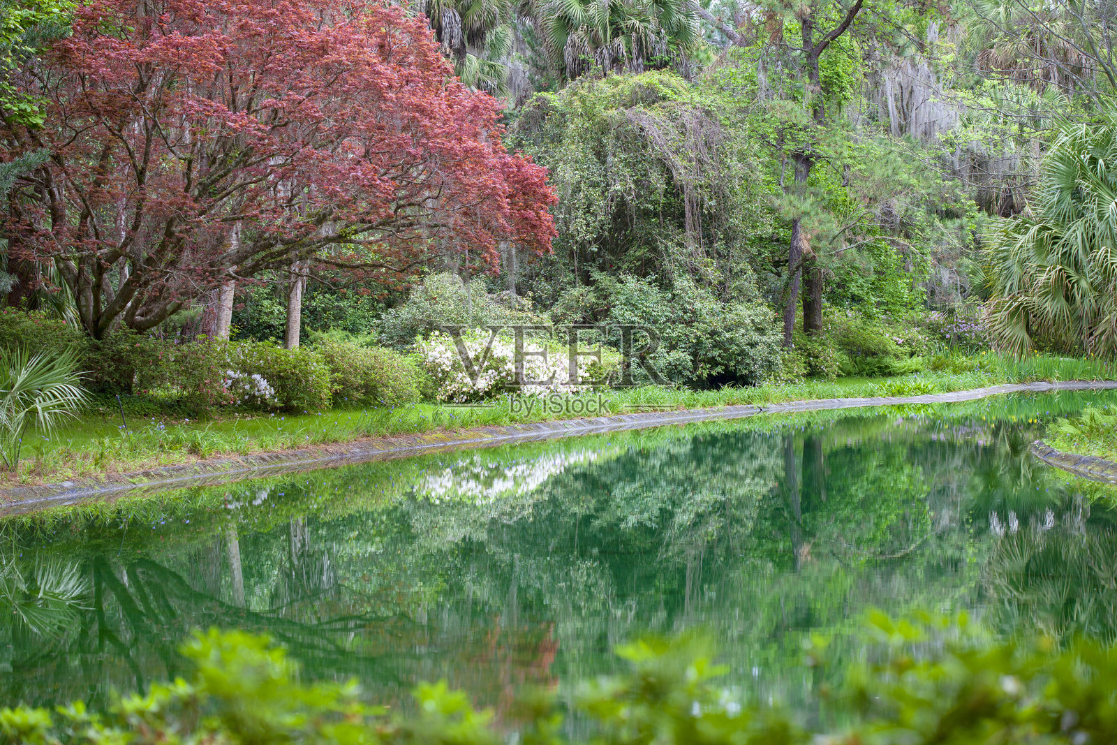 佛罗里达州塔拉哈西麦克雷花园的花园和池塘照片摄影图片