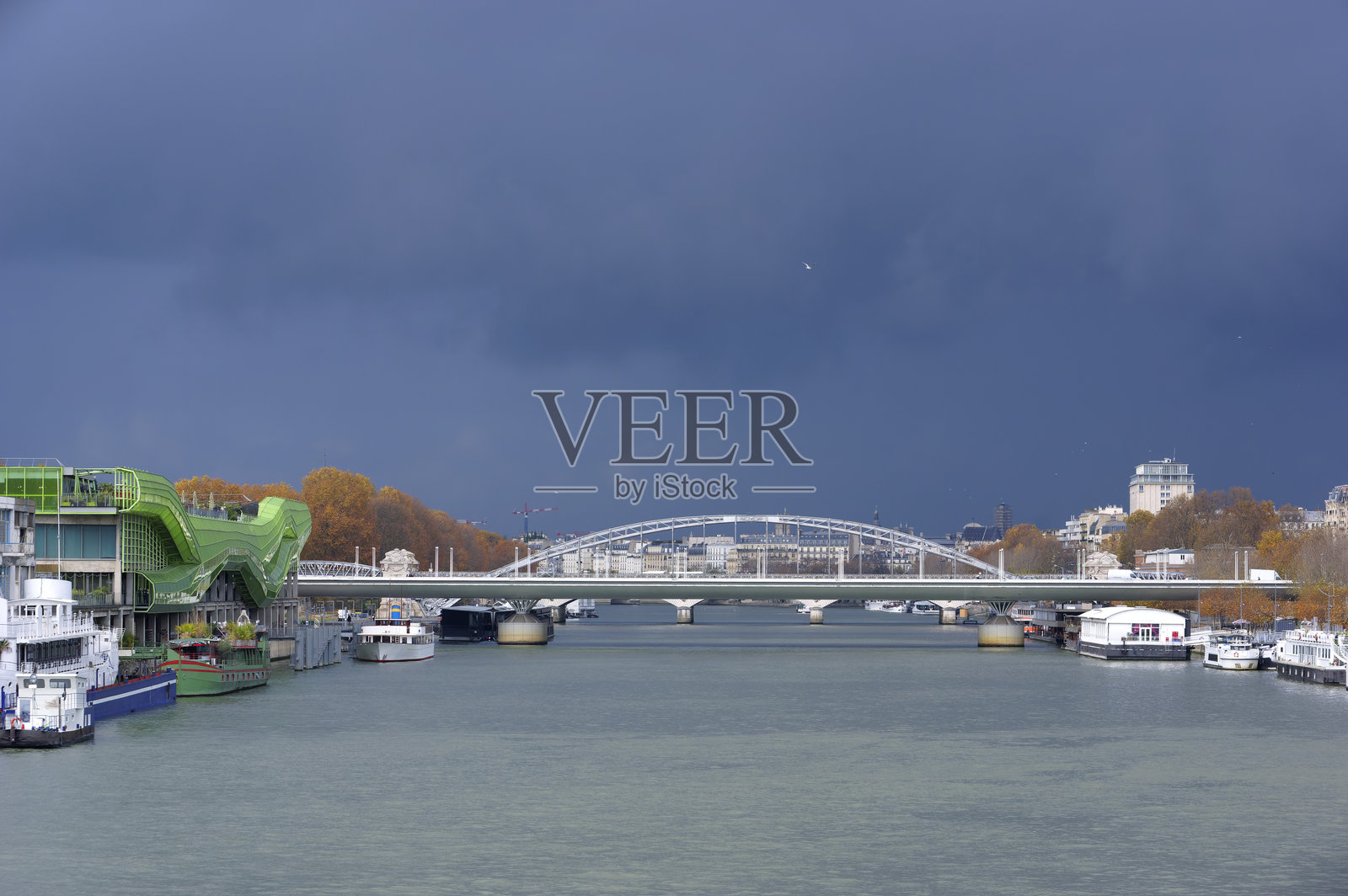 巴黎的戴高乐大桥和奥斯特里茨高架桥照片摄影图片