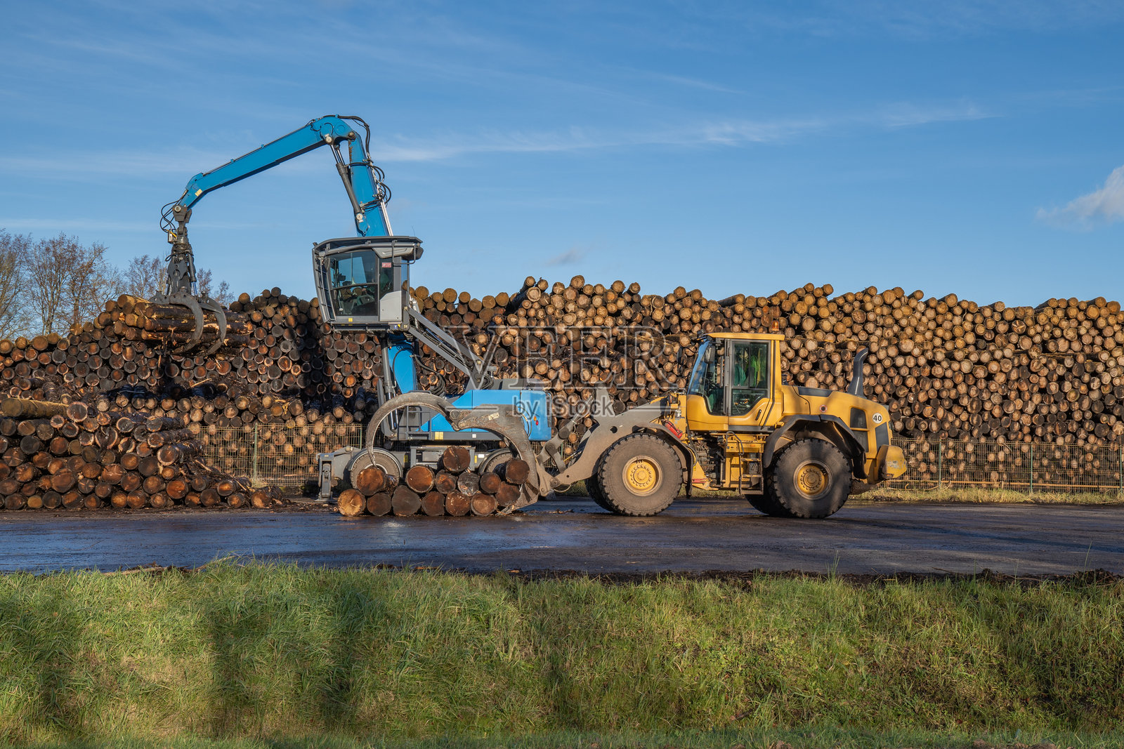 木材锯木厂，木材加工机械。加工厂。一名工人在操作装载机，现代木材加工厂，装载切割好的木材。照片摄影图片