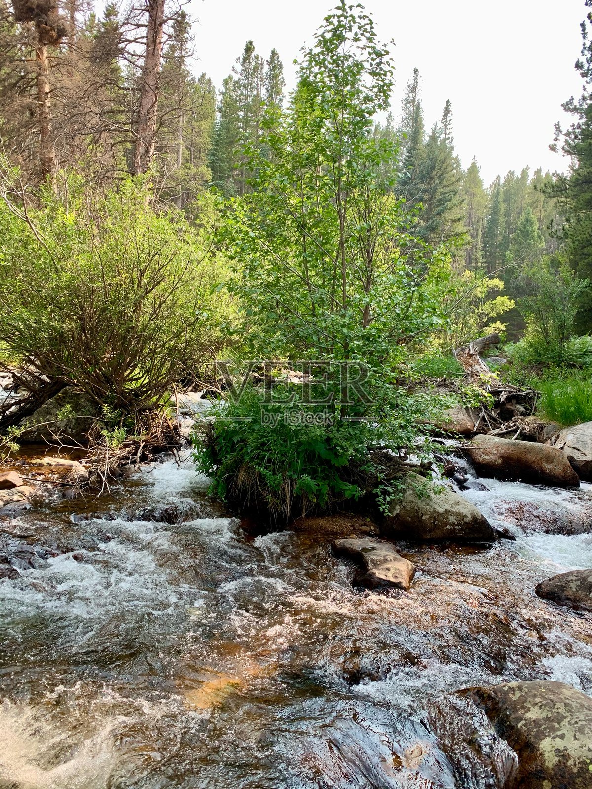 落基山国家公园，科罗拉多州，瀑布，河流，家庭度假，旅游目的地，露营，徒步旅行照片摄影图片