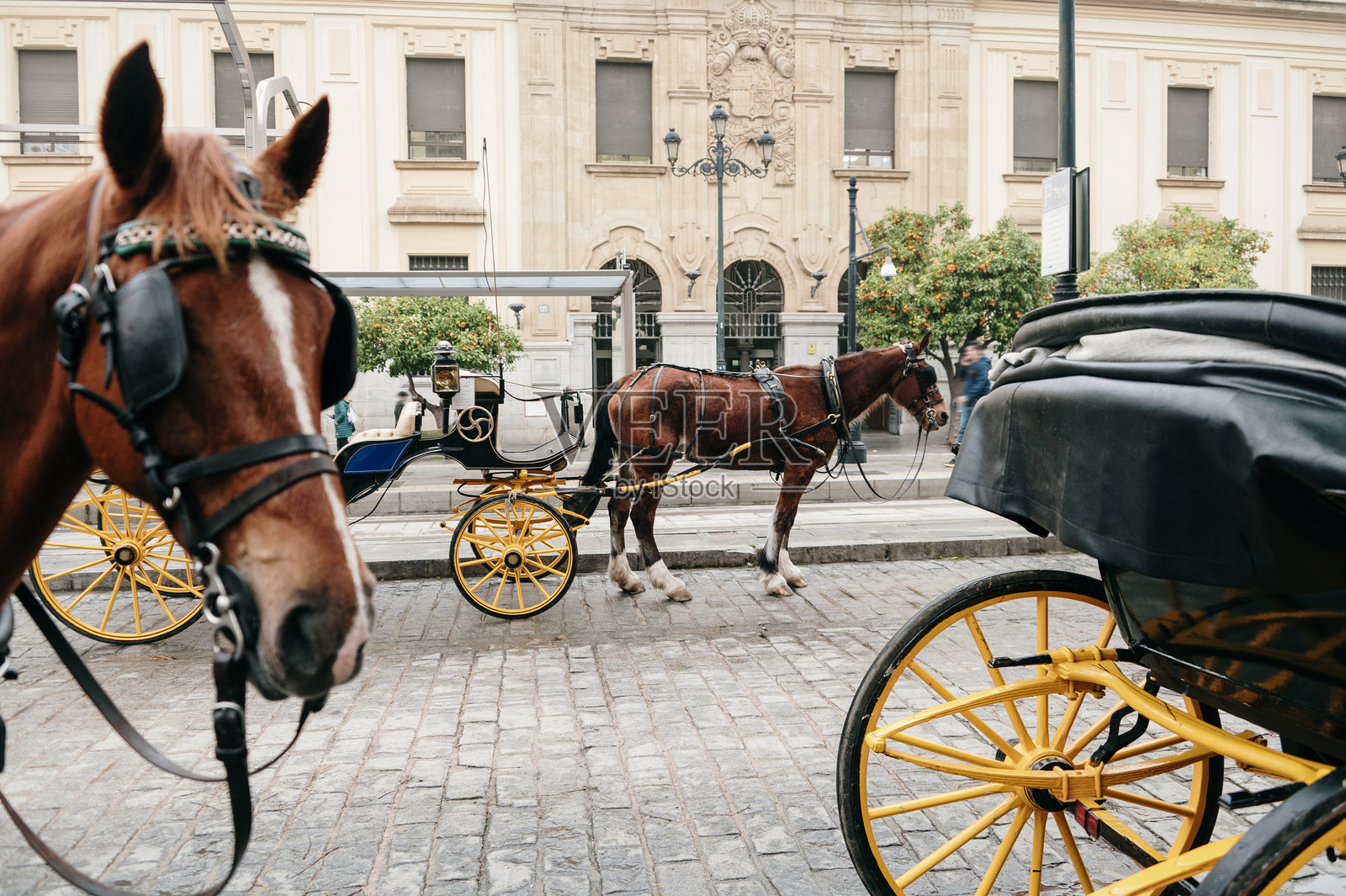 马车照片摄影图片