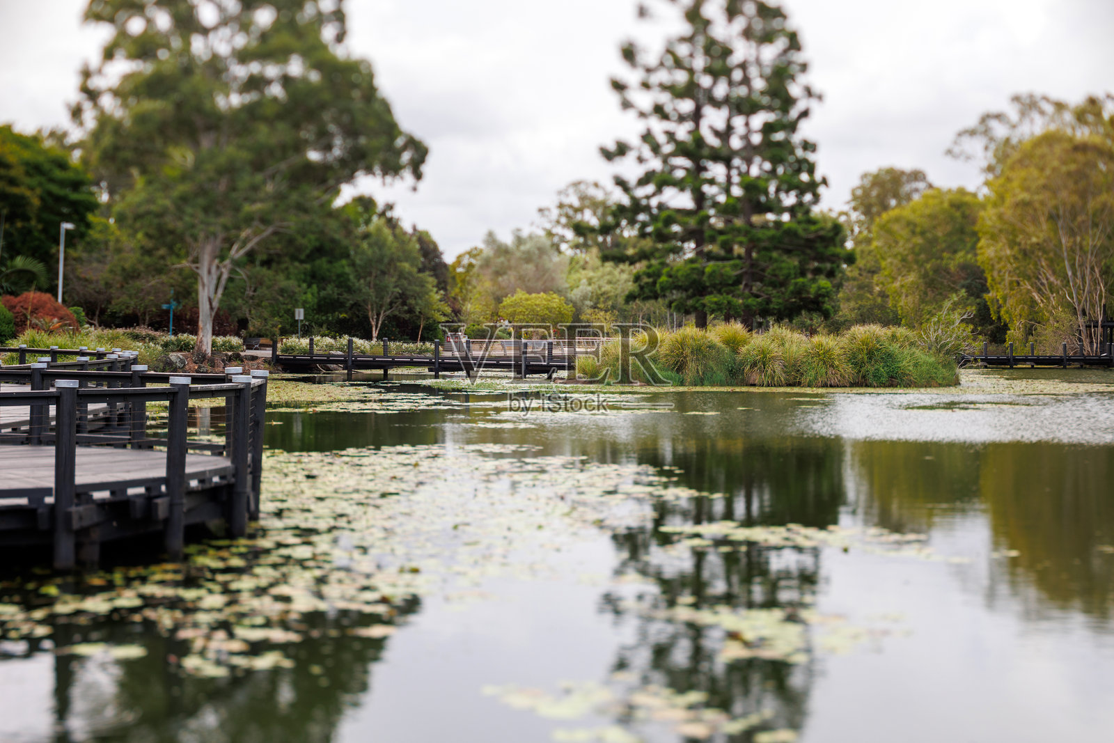 公园和湖泊的倾斜移轴镜头拍摄照片摄影图片