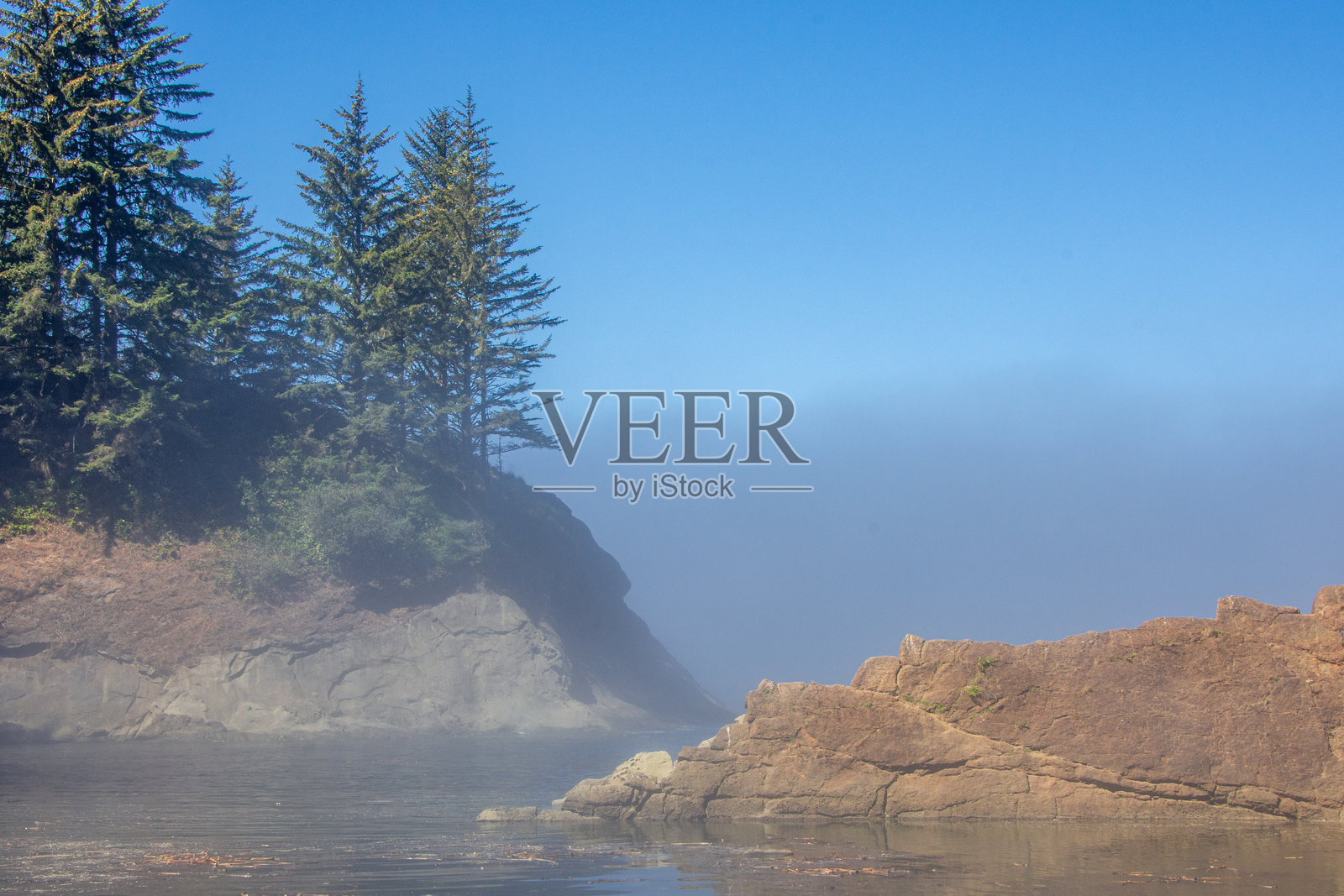 俄勒冈州库斯湾附近阿尔戈角的岩石海岸上弥漫着一丝晨雾。照片摄影图片