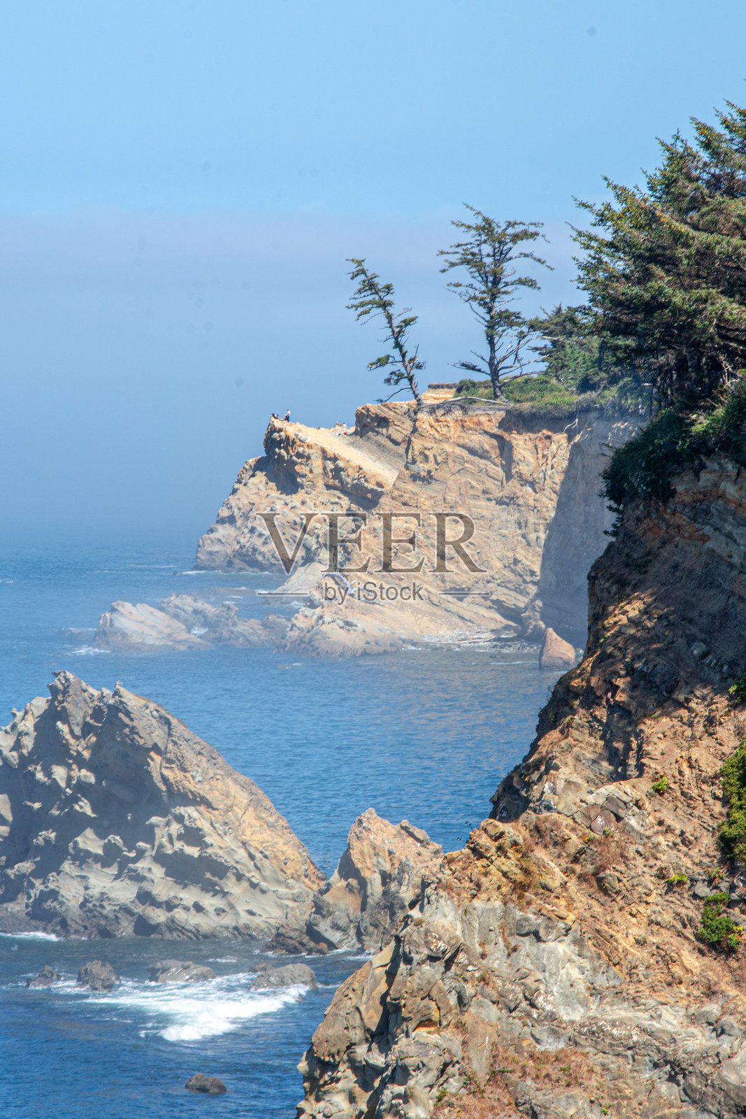 俄勒冈州库斯湾附近阿尔戈角的岩石海岸上弥漫着一丝晨雾。照片摄影图片