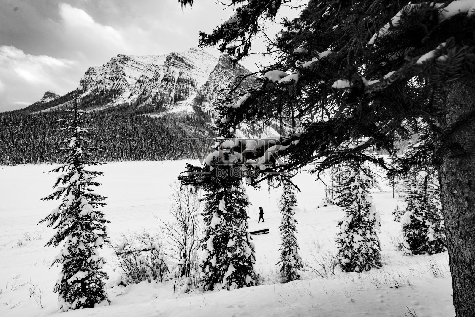 路易斯湖的冬季仙境照片摄影图片