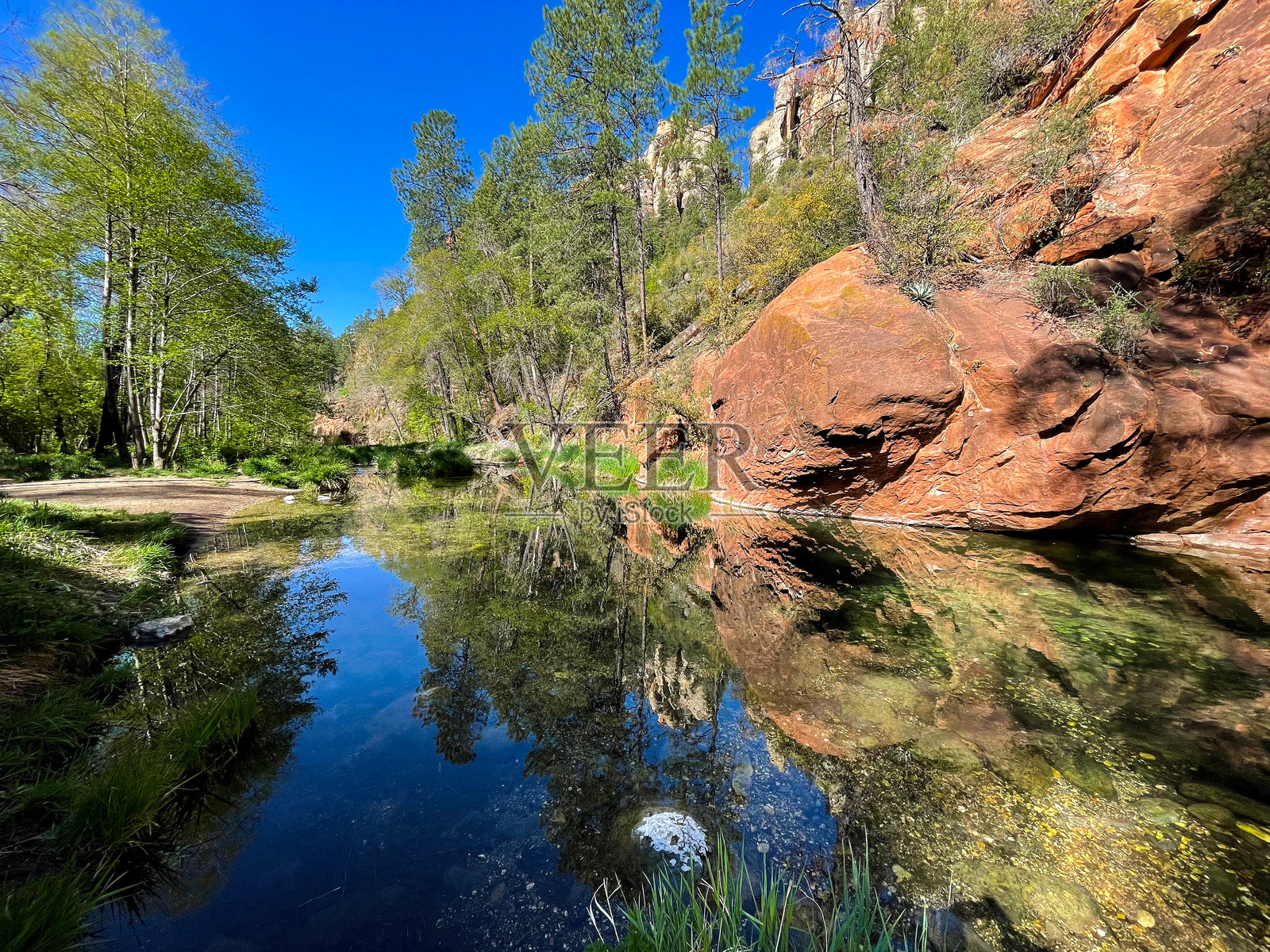 橡树溪 4照片摄影图片