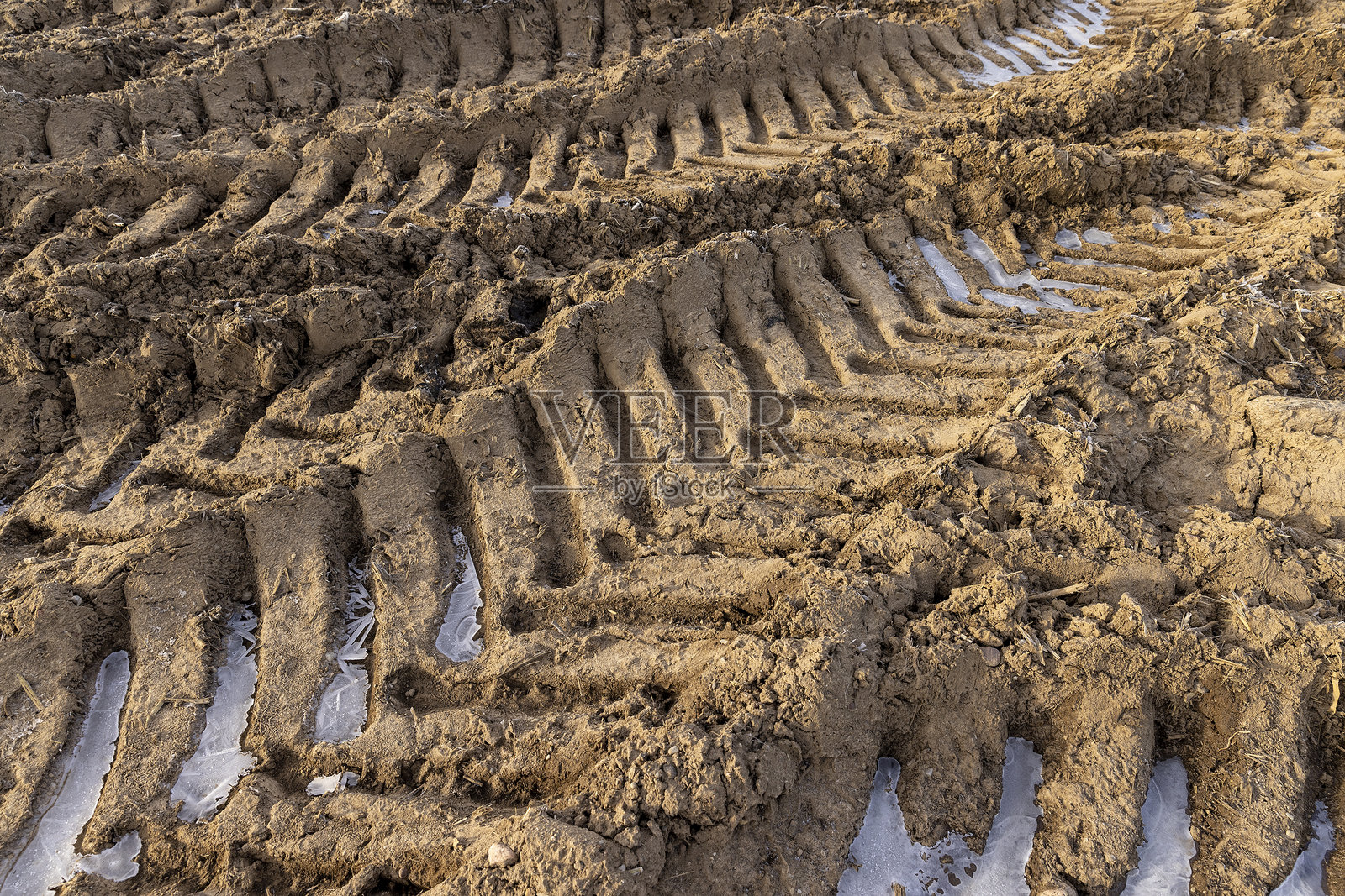 被雪和霜覆盖的耕地，地面上有拖拉机的车辙照片摄影图片