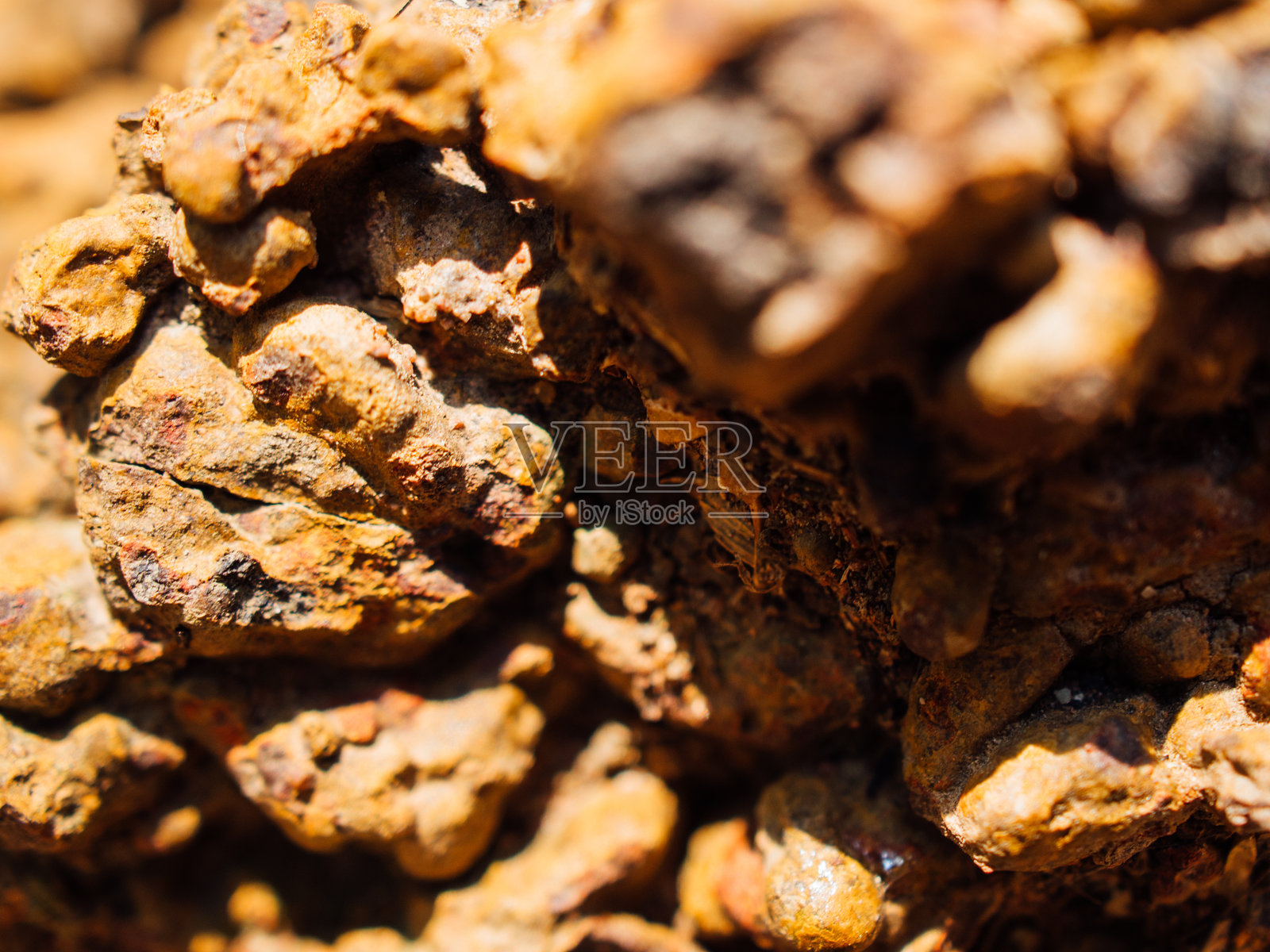 火山岩特写照片摄影图片