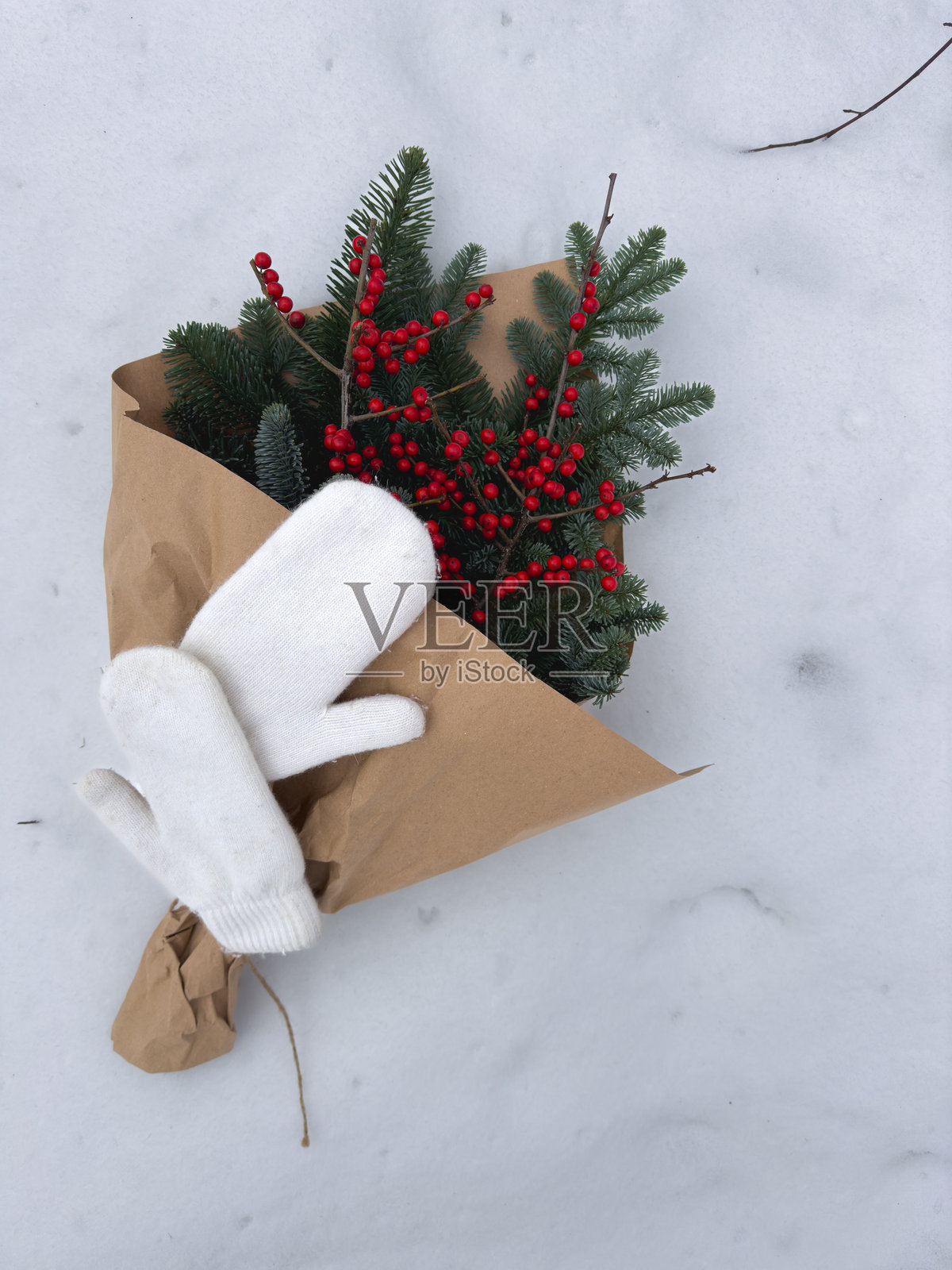 雪上的常青植物和红浆果花束照片摄影图片