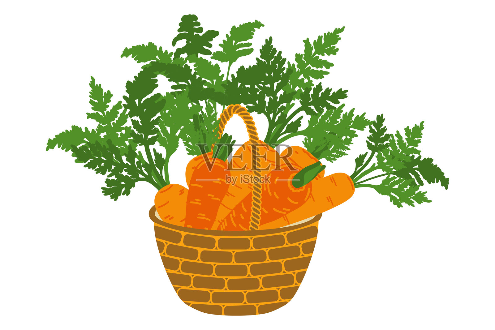 鲜亮多汁的胡萝卜，健康的素食，装满胡萝卜的篮子。带阴影的矢量图，背景为白色。插画图片素材
