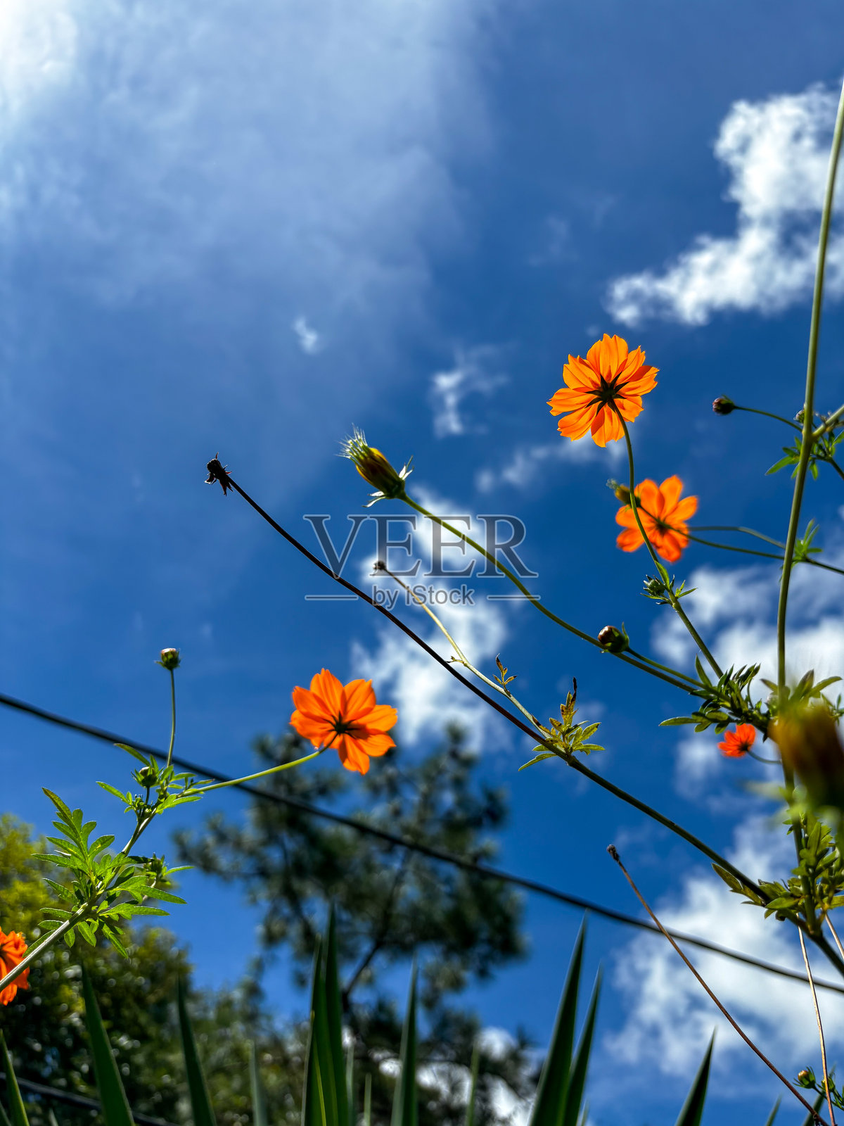 宇宙照片摄影图片