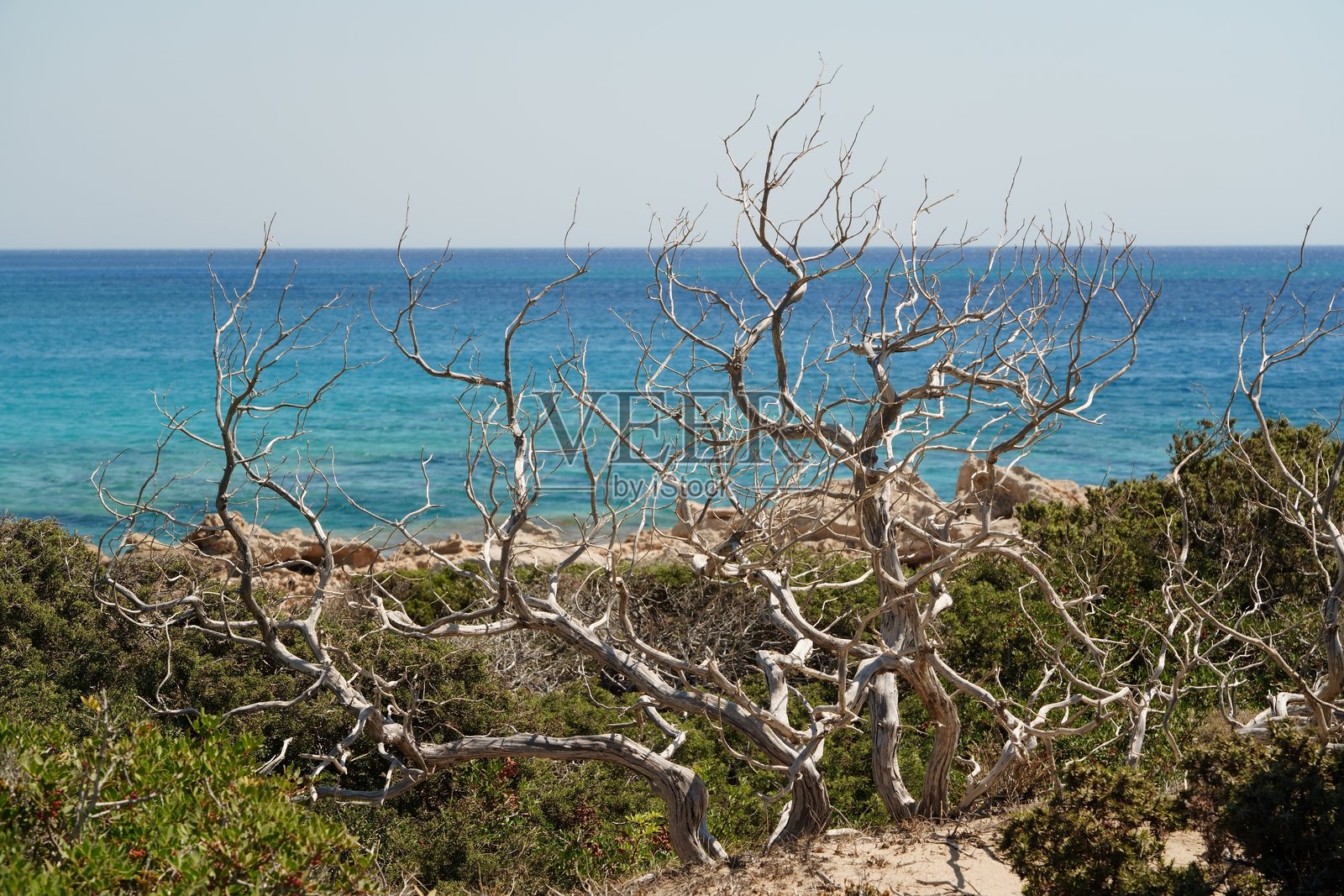 被地中海环绕的希腊卡尔帕索斯岛照片摄影图片